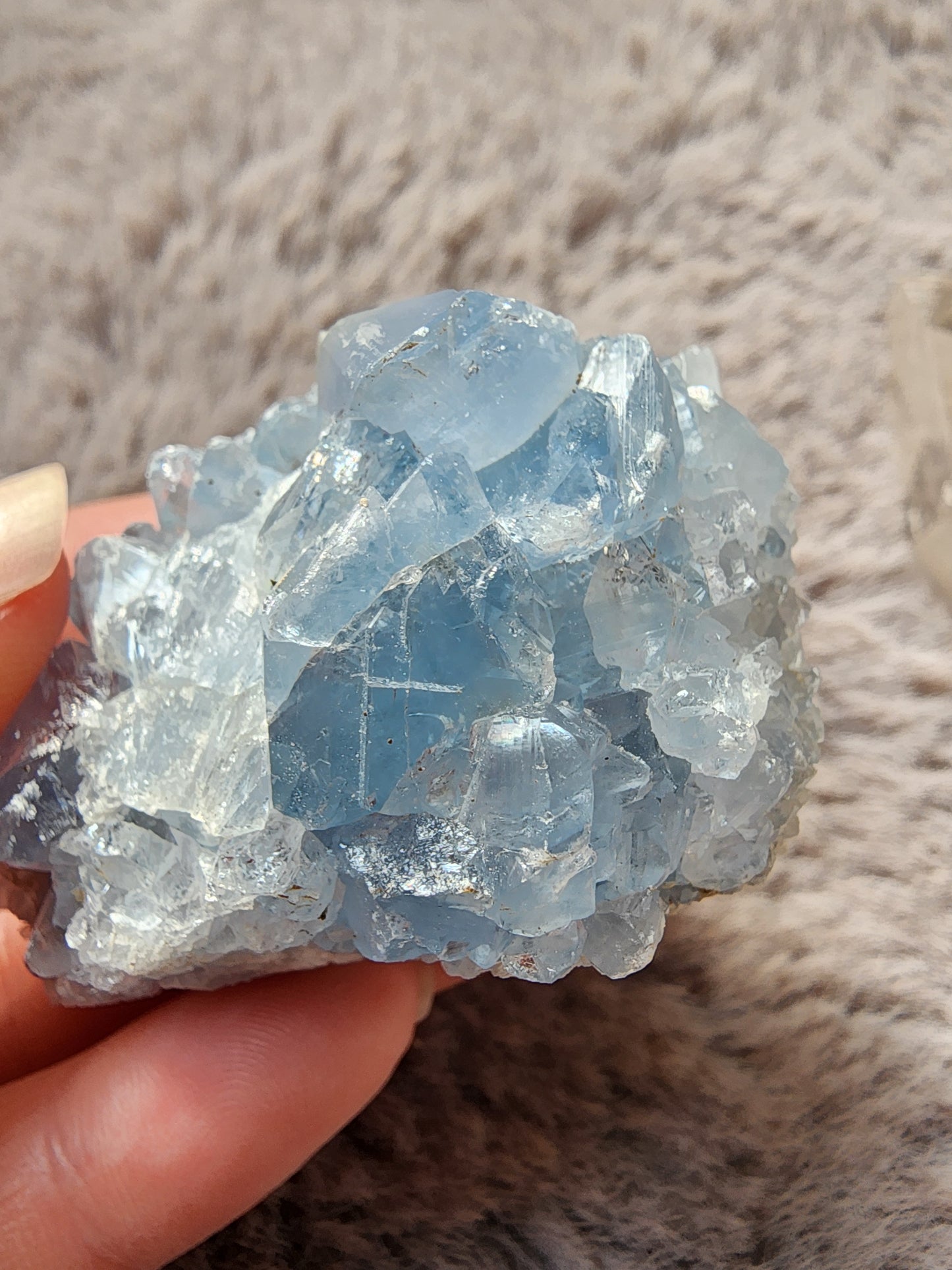 Celestite Cluster