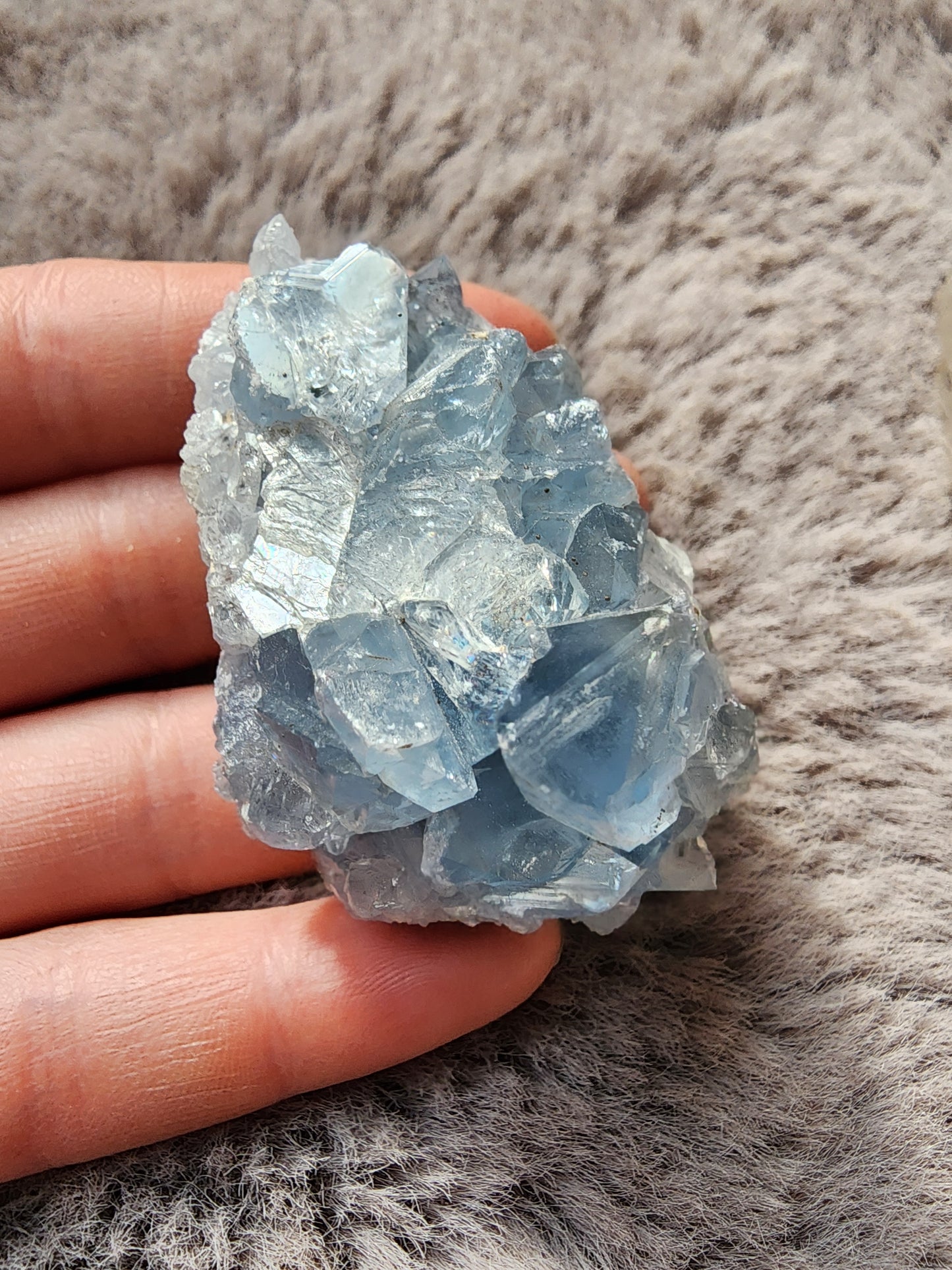 Celestite Cluster