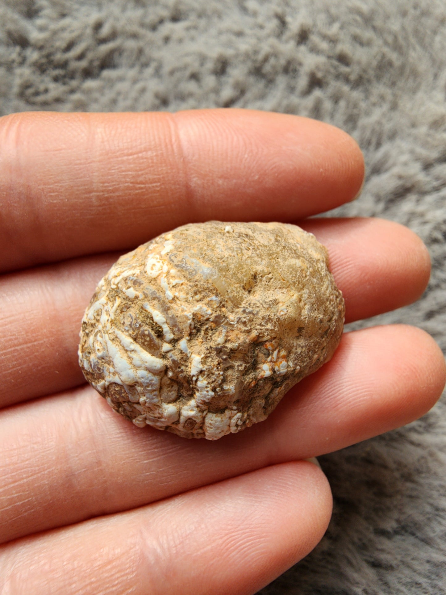 Oco Agate Geode