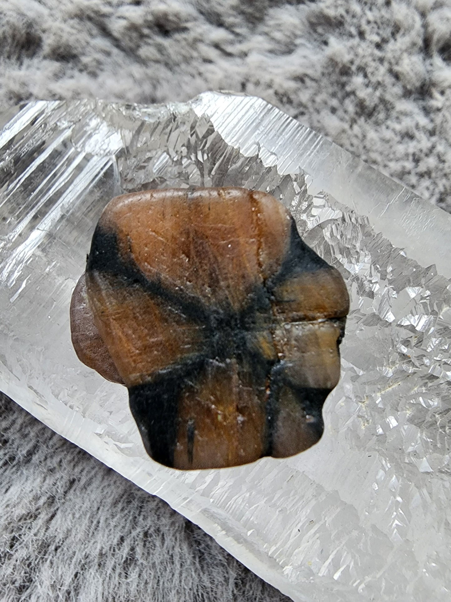 Chiastolite Specimen