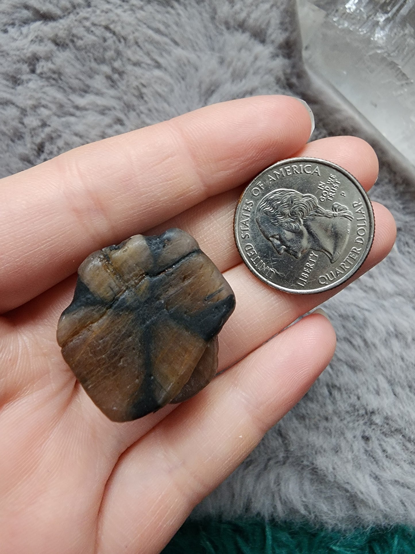 Chiastolite Specimen