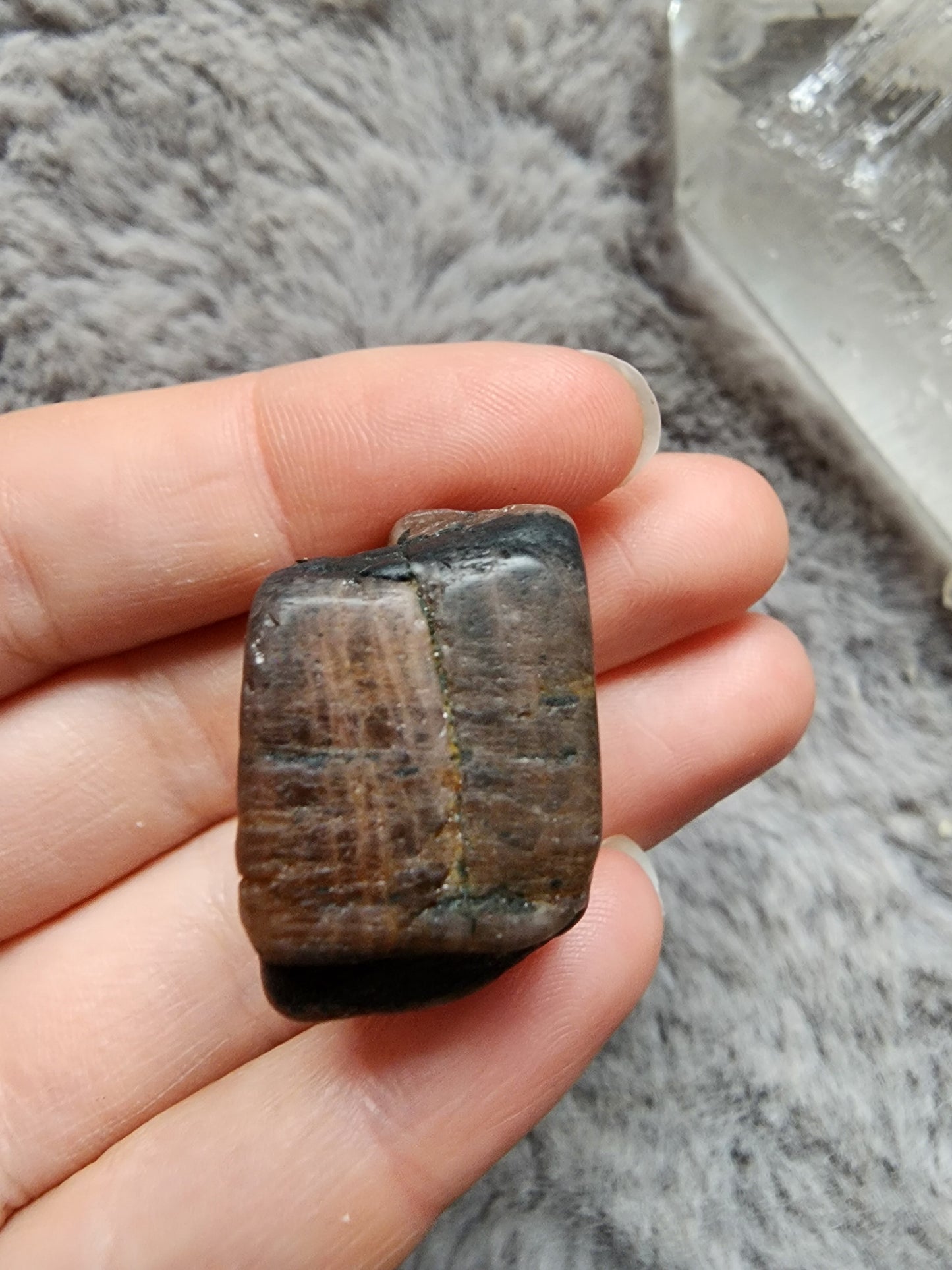 Chiastolite Specimen