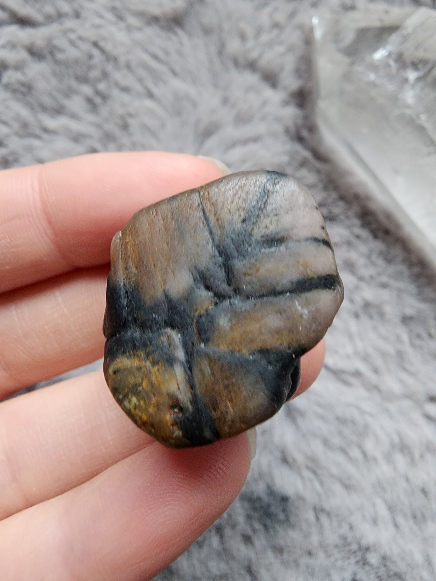 Chiastolite Specimen