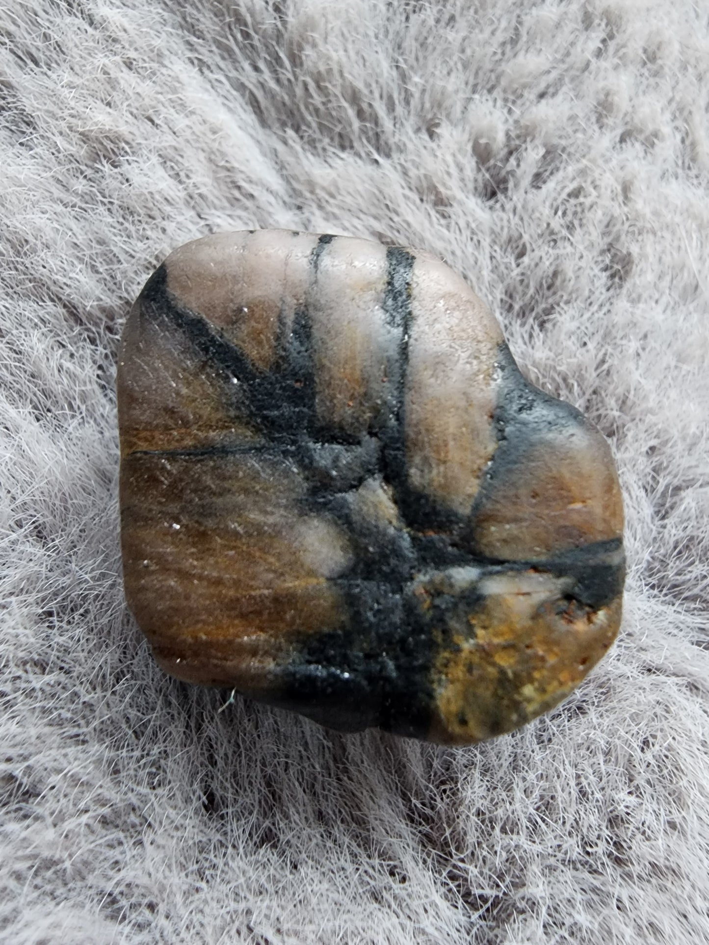 Chiastolite Specimen