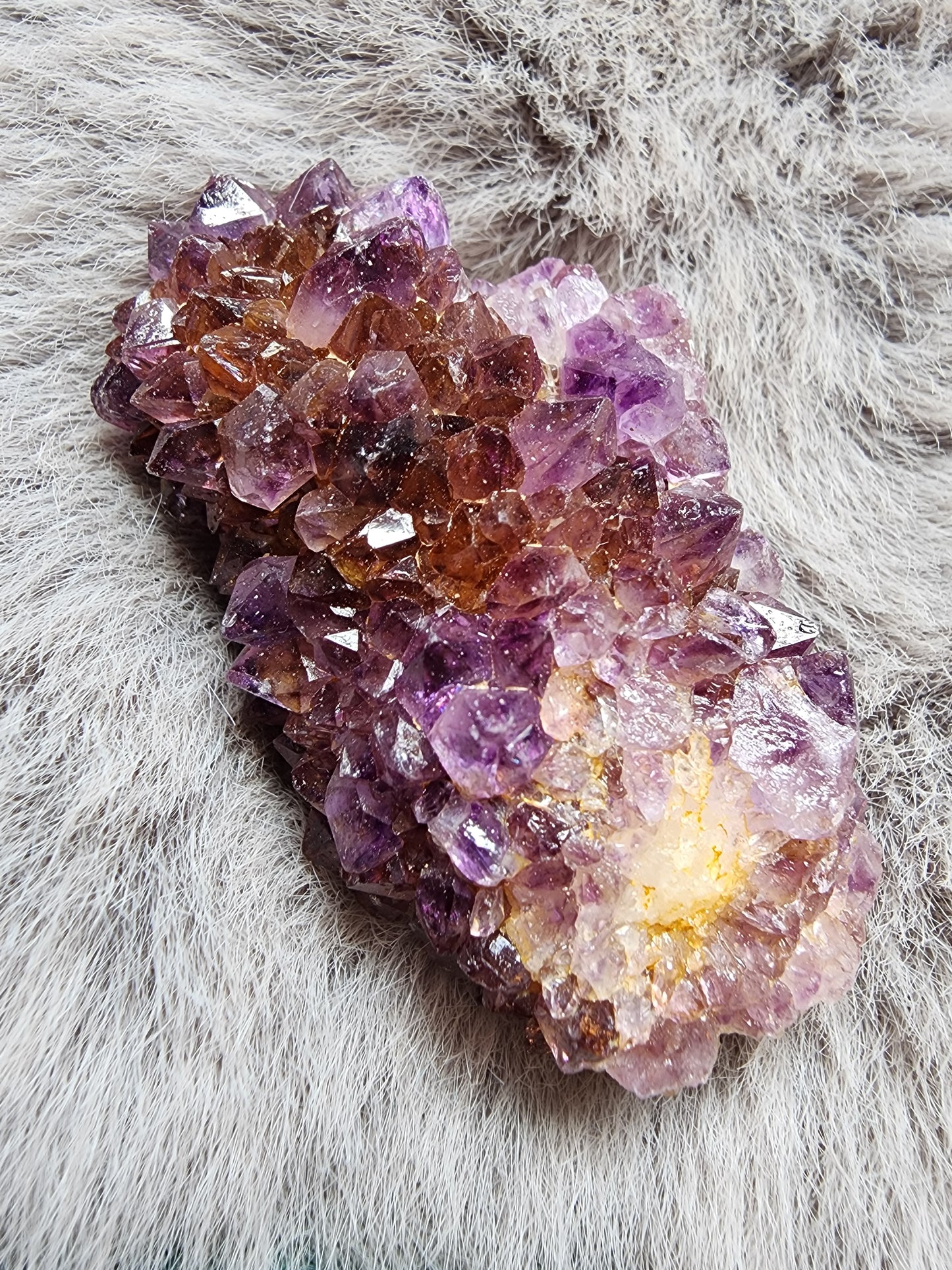 Amethyst Cluster