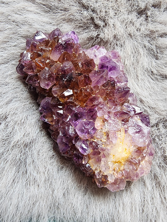 Amethyst Cluster