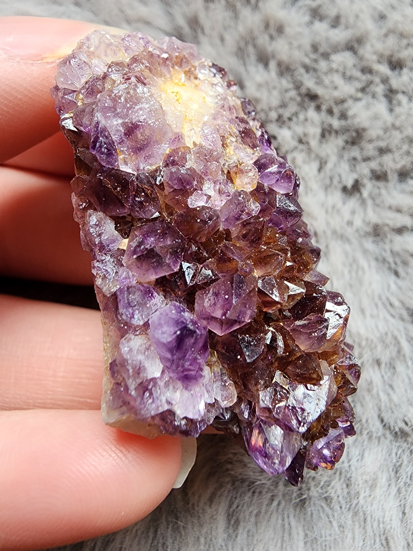 Amethyst Cluster