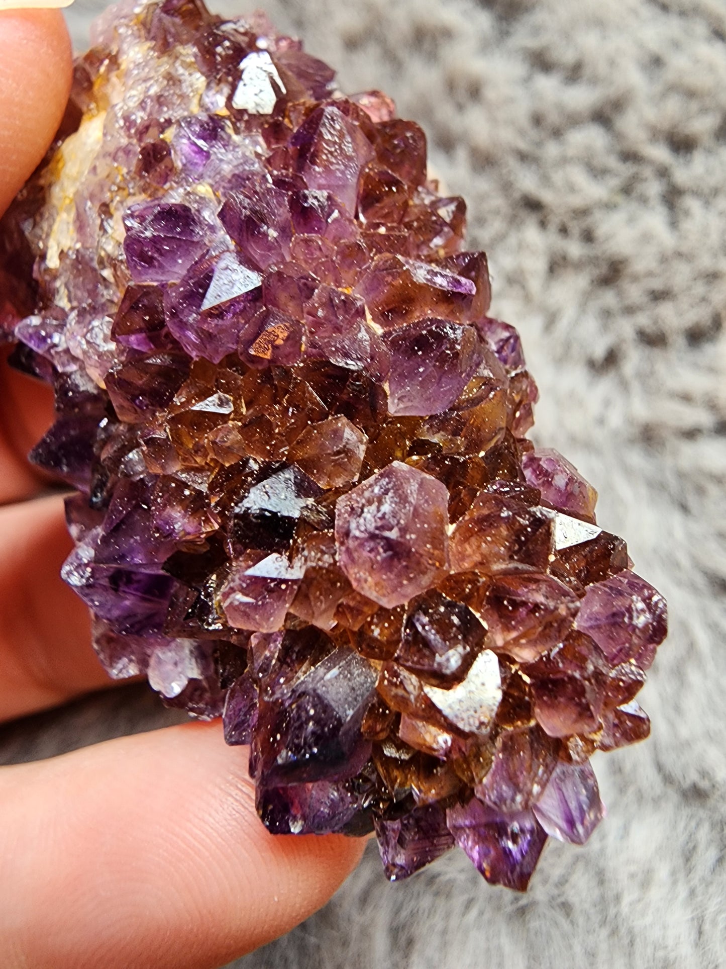 Amethyst Cluster