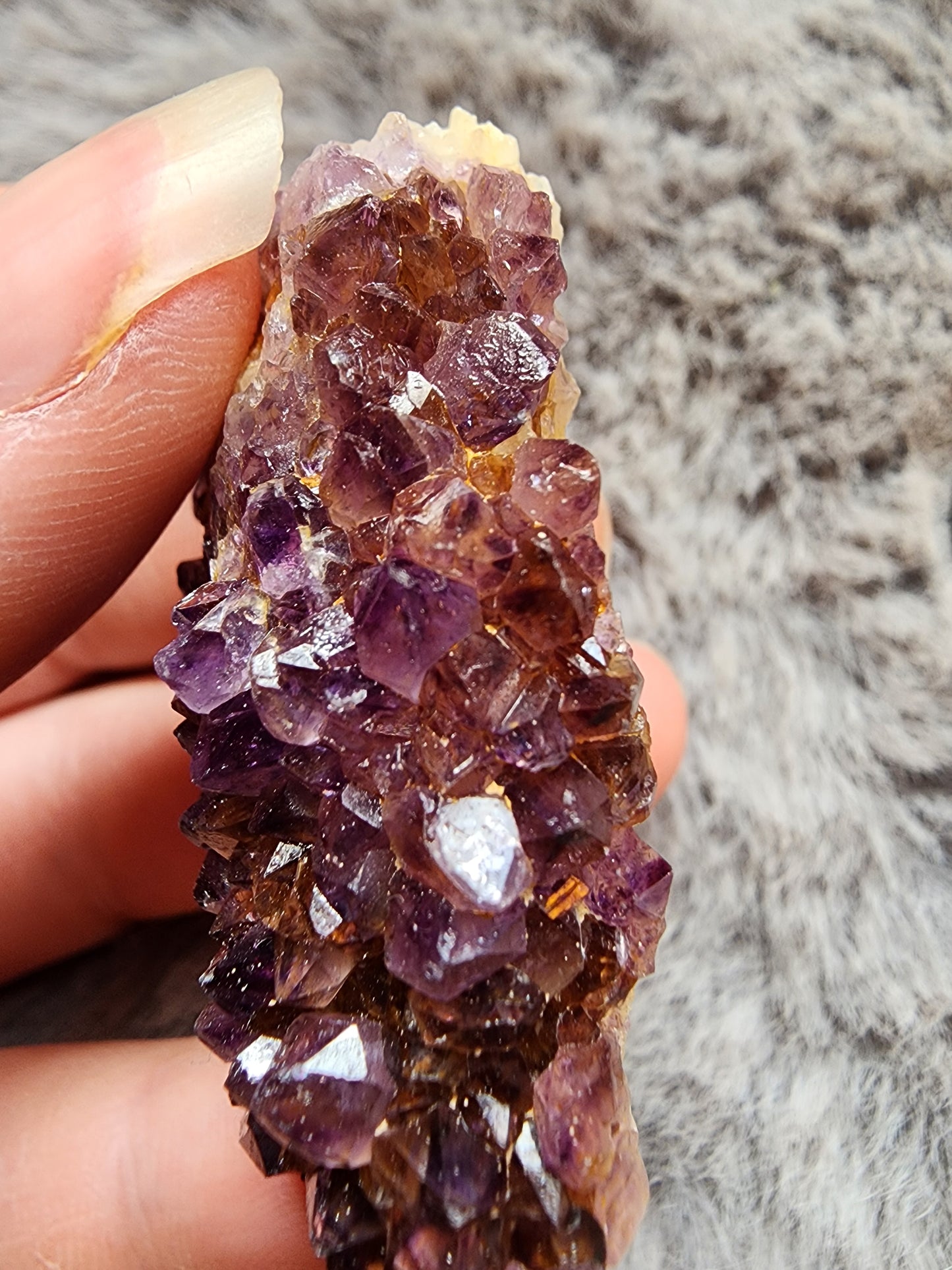 Amethyst Cluster