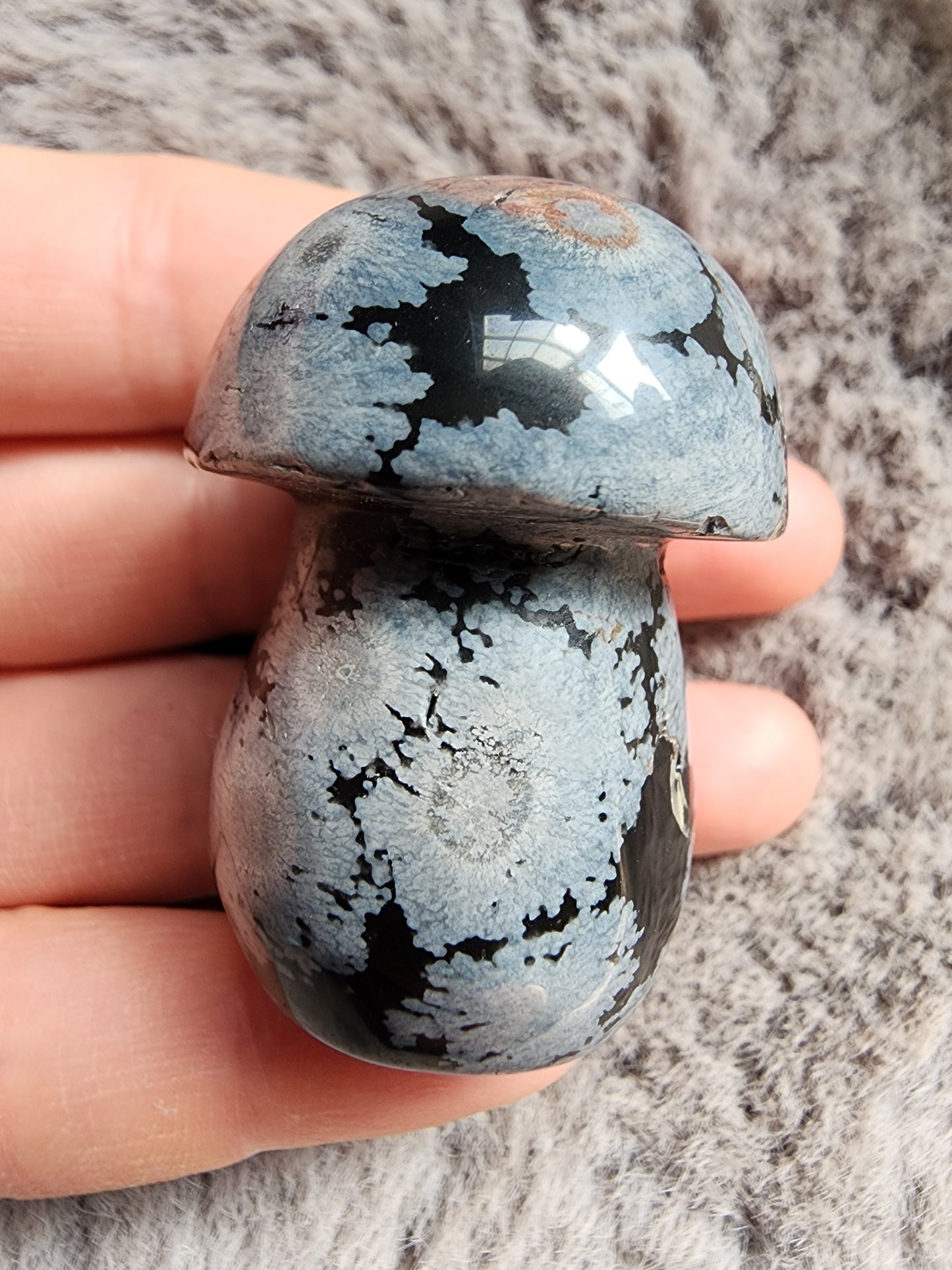 Snowflake Obsidian Mushroom