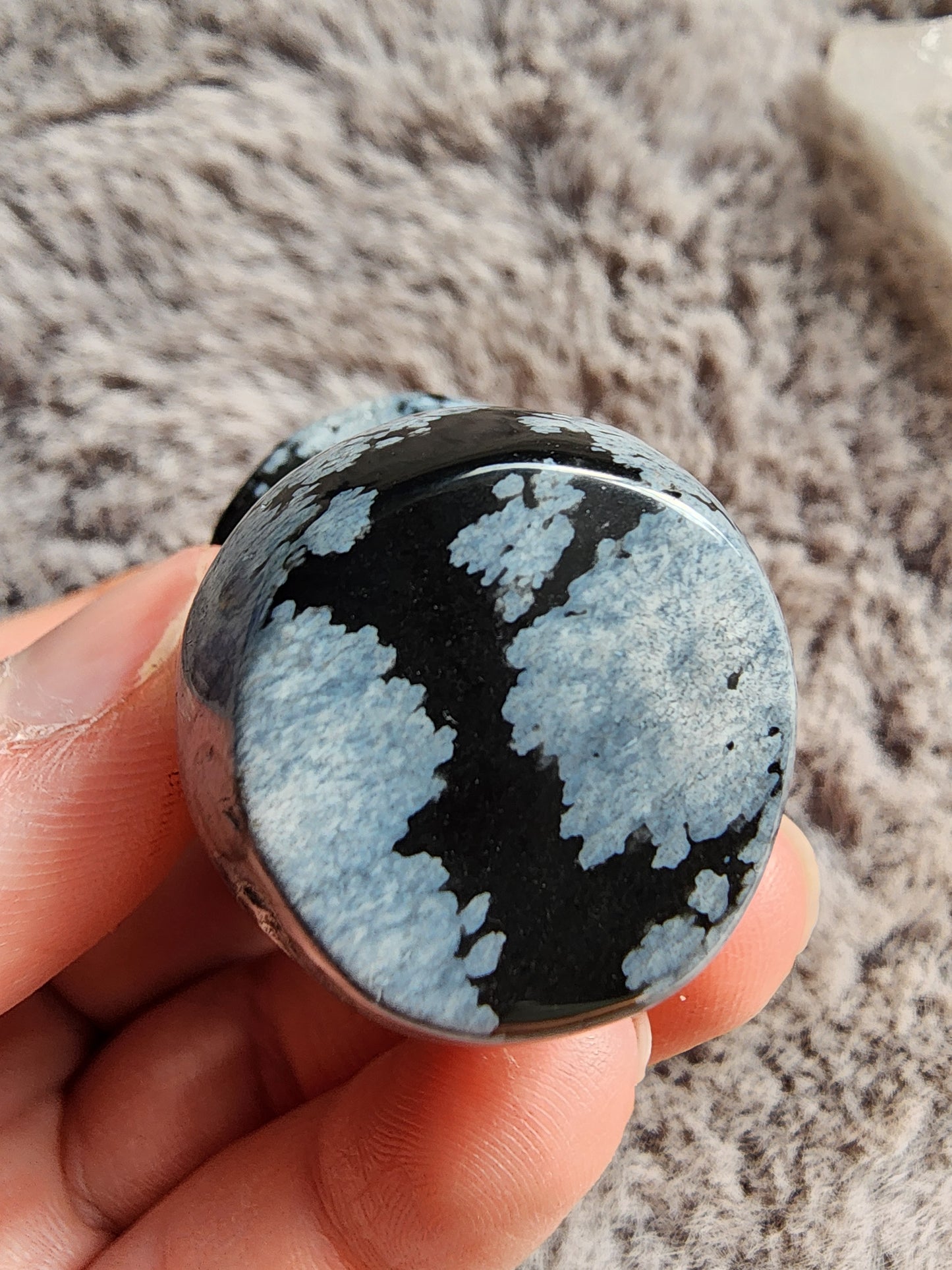 Snowflake Obsidian Mushroom