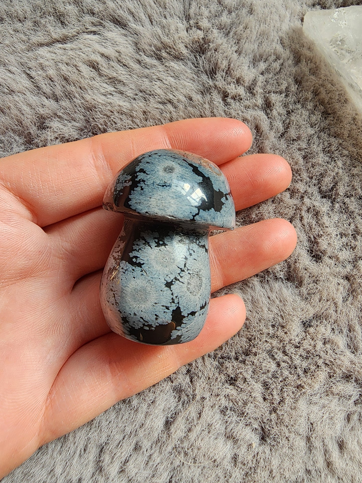 Snowflake Obsidian Mushroom