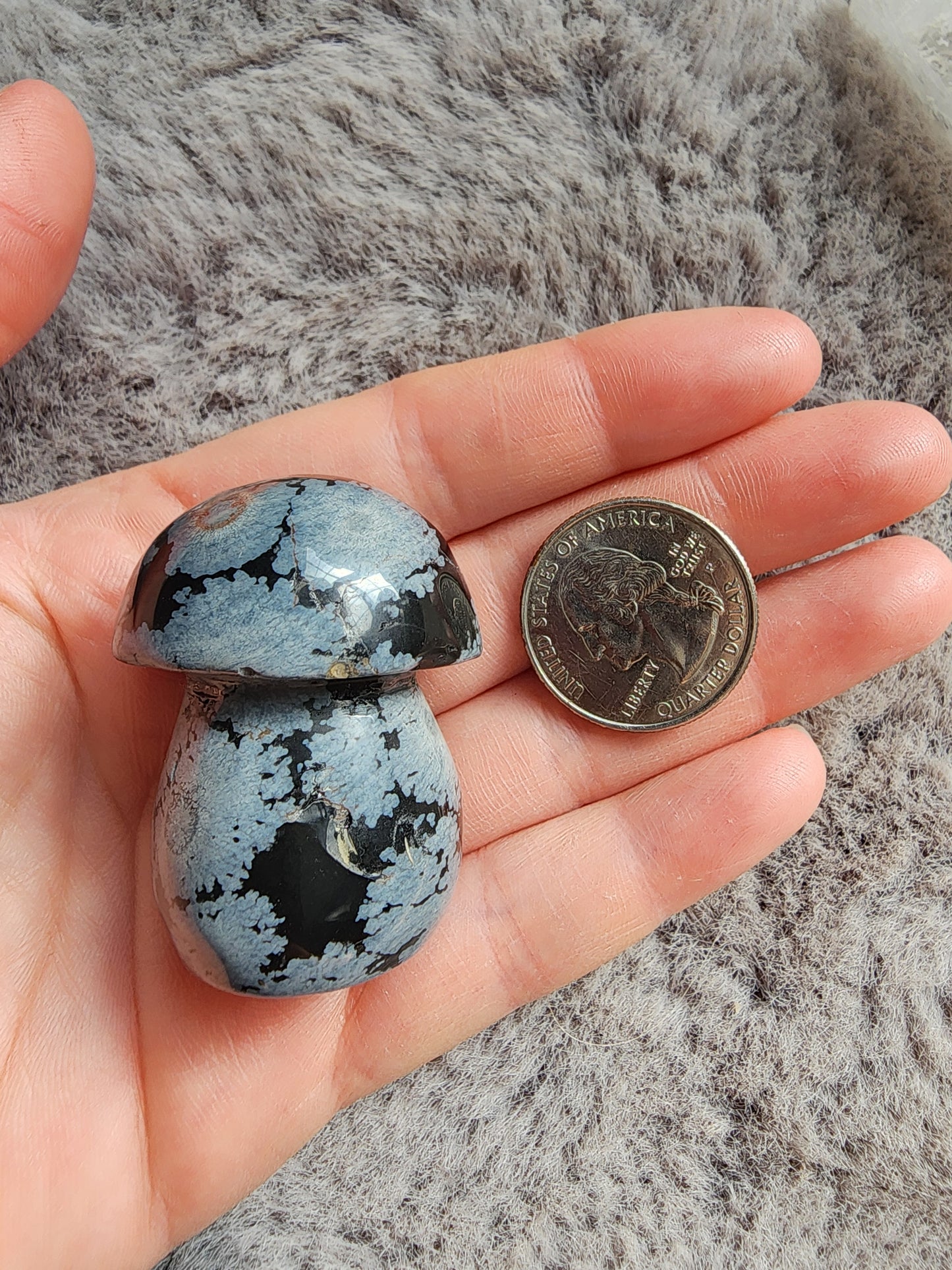 Snowflake Obsidian Mushroom
