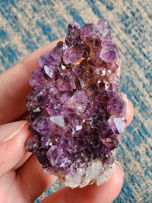 Amethyst Cluster