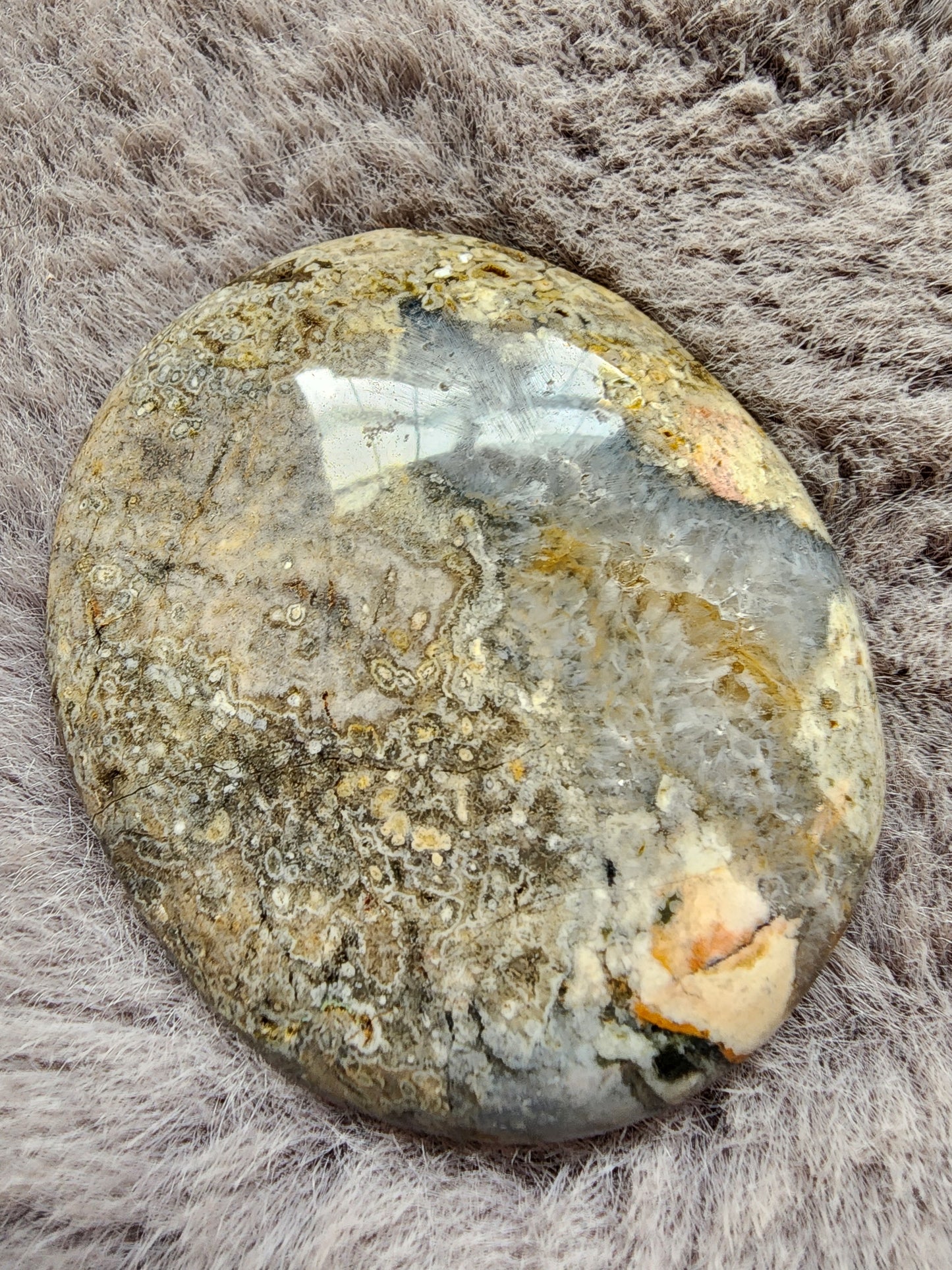 Orbicular Jasper Palmstone