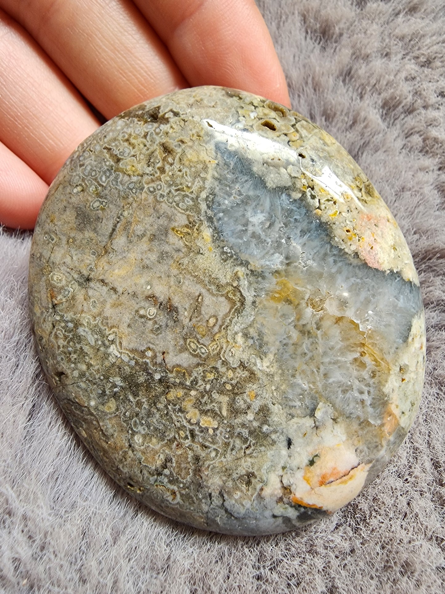 Orbicular Jasper Palmstone