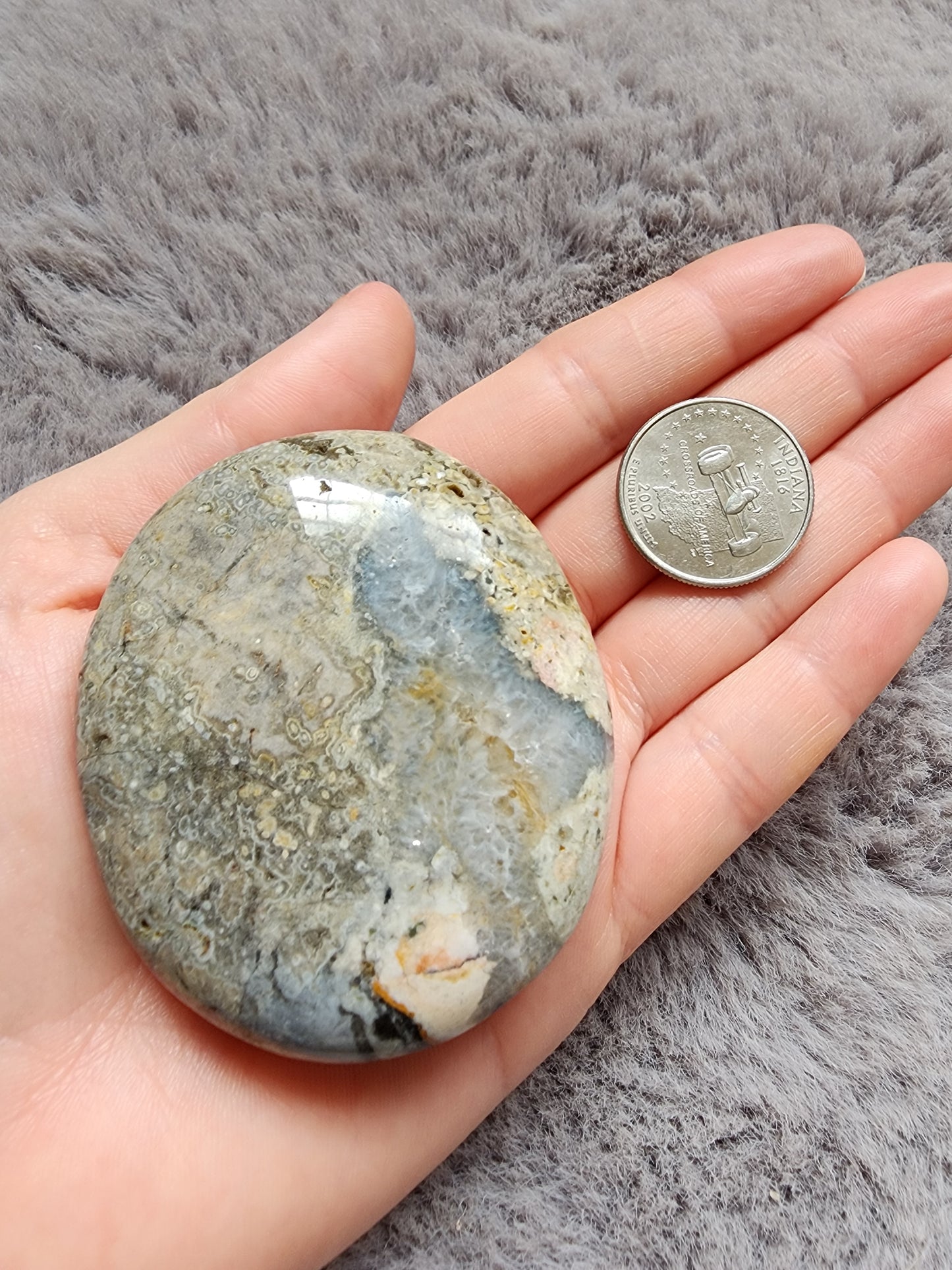 Orbicular Jasper Palmstone