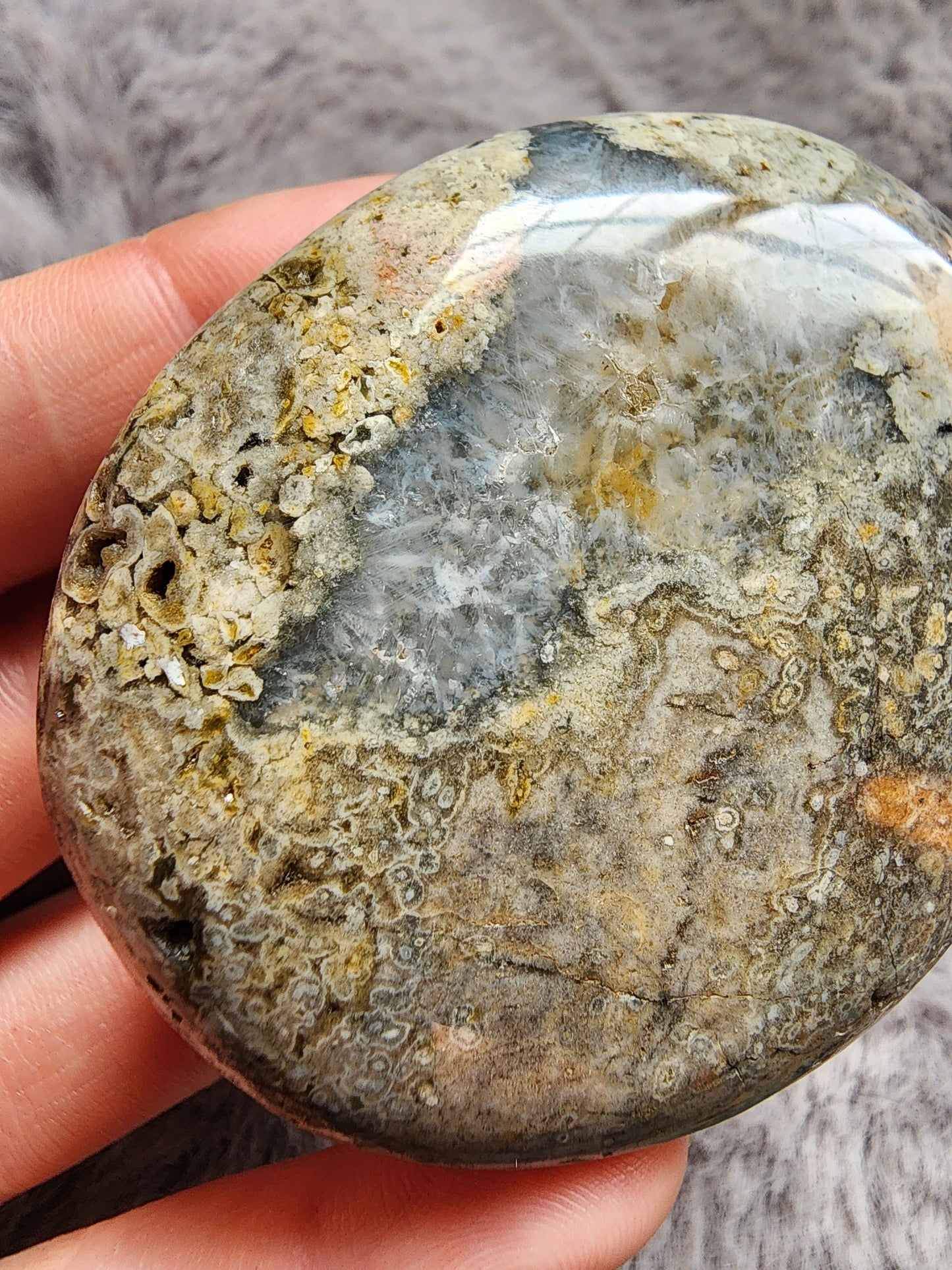 Orbicular Jasper Palmstone