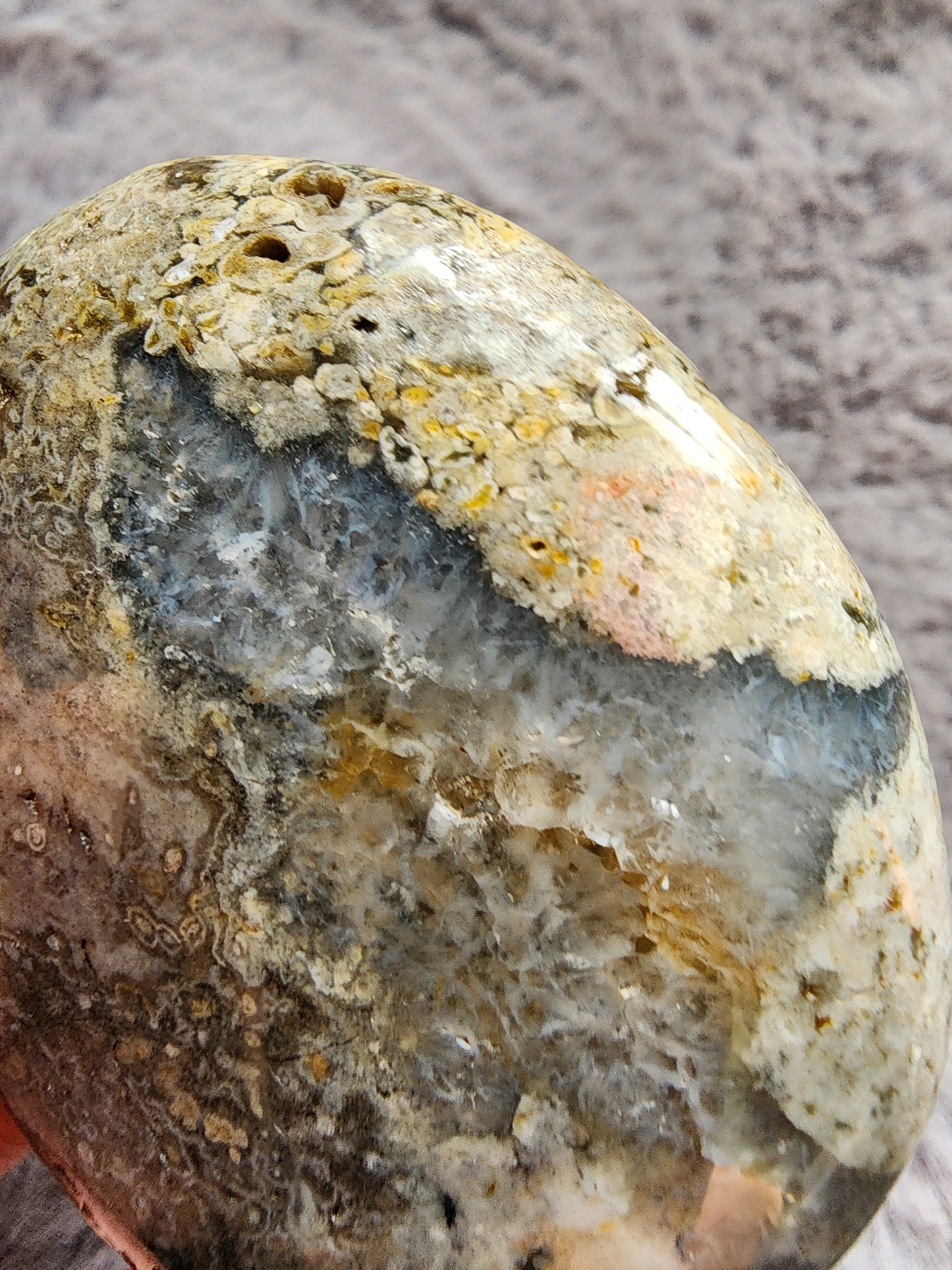 Orbicular Jasper Palmstone