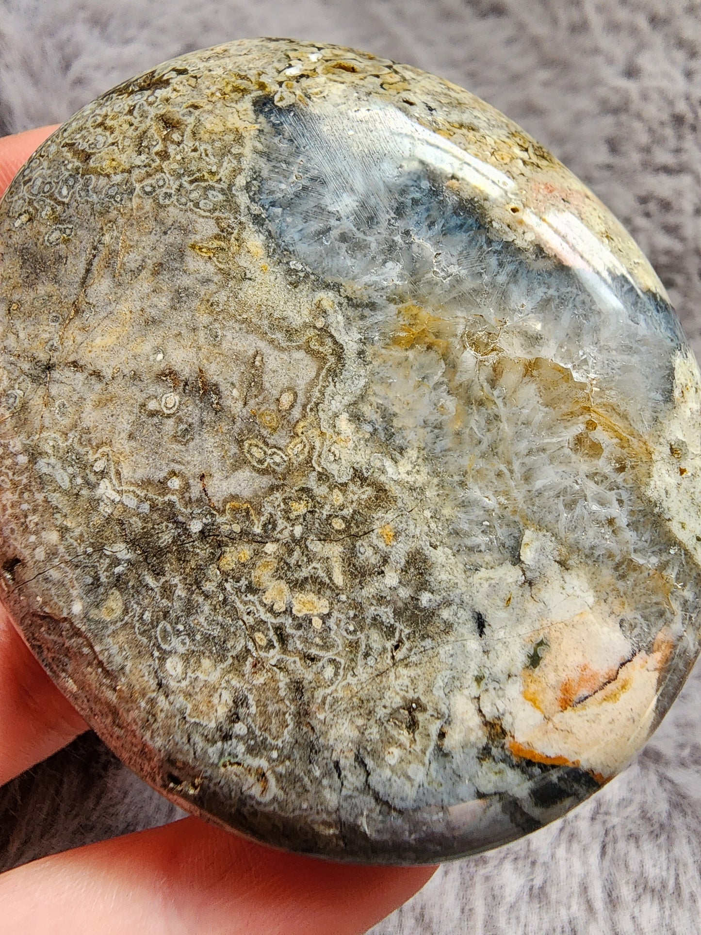 Orbicular Jasper Palmstone