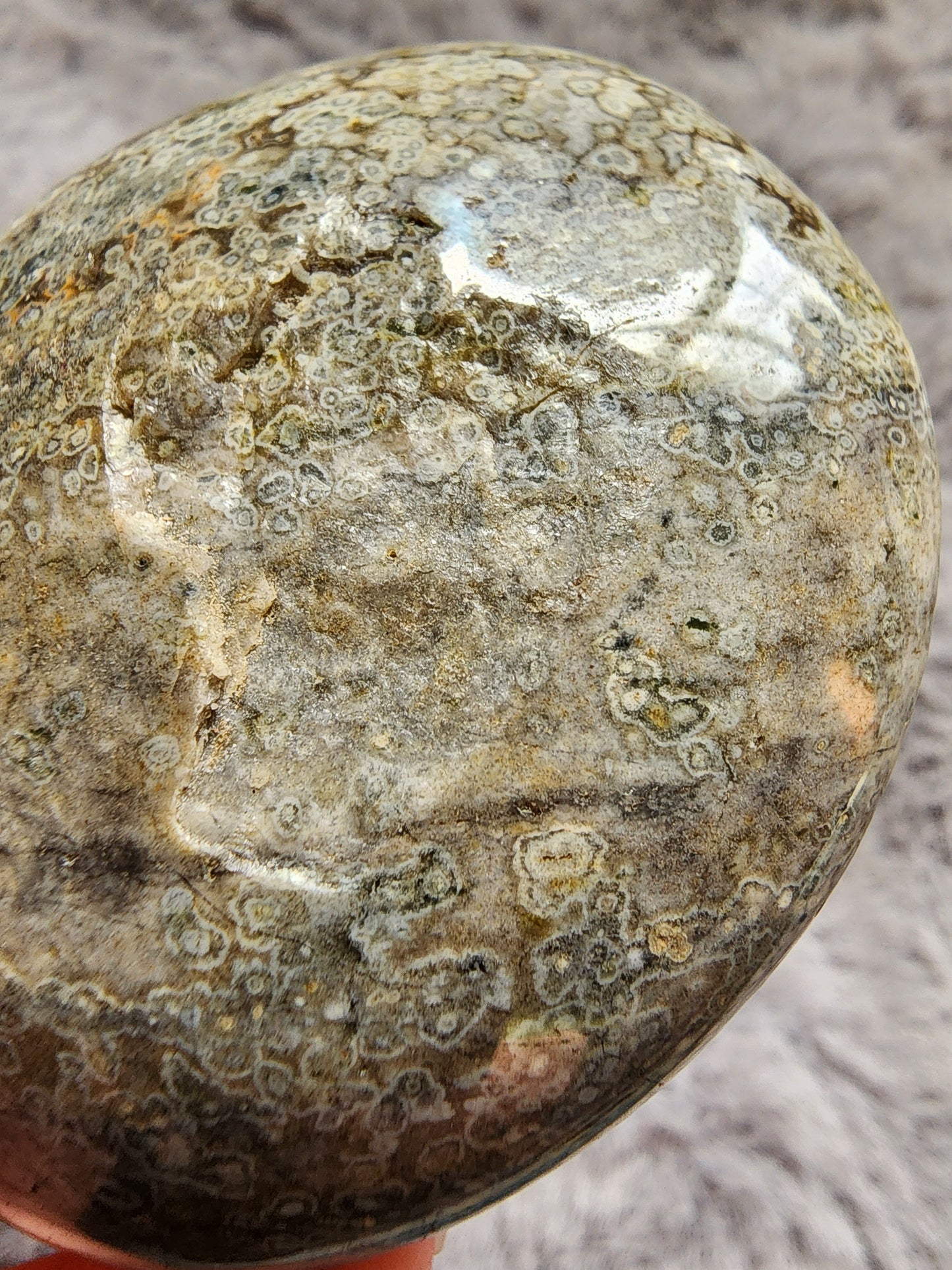 Orbicular Jasper Palmstone