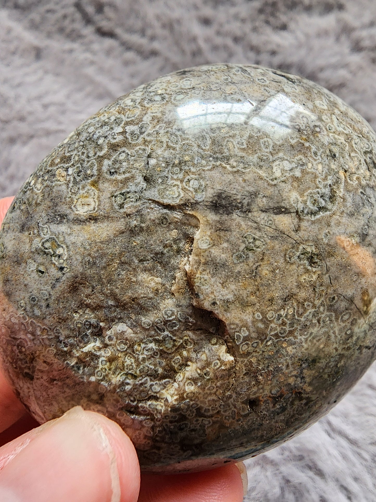 Orbicular Jasper Palmstone