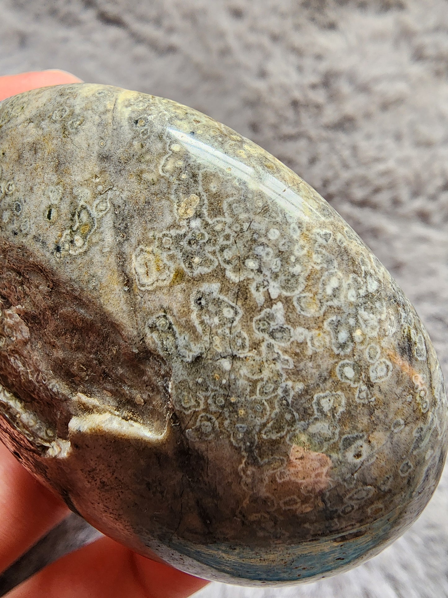 Orbicular Jasper Palmstone