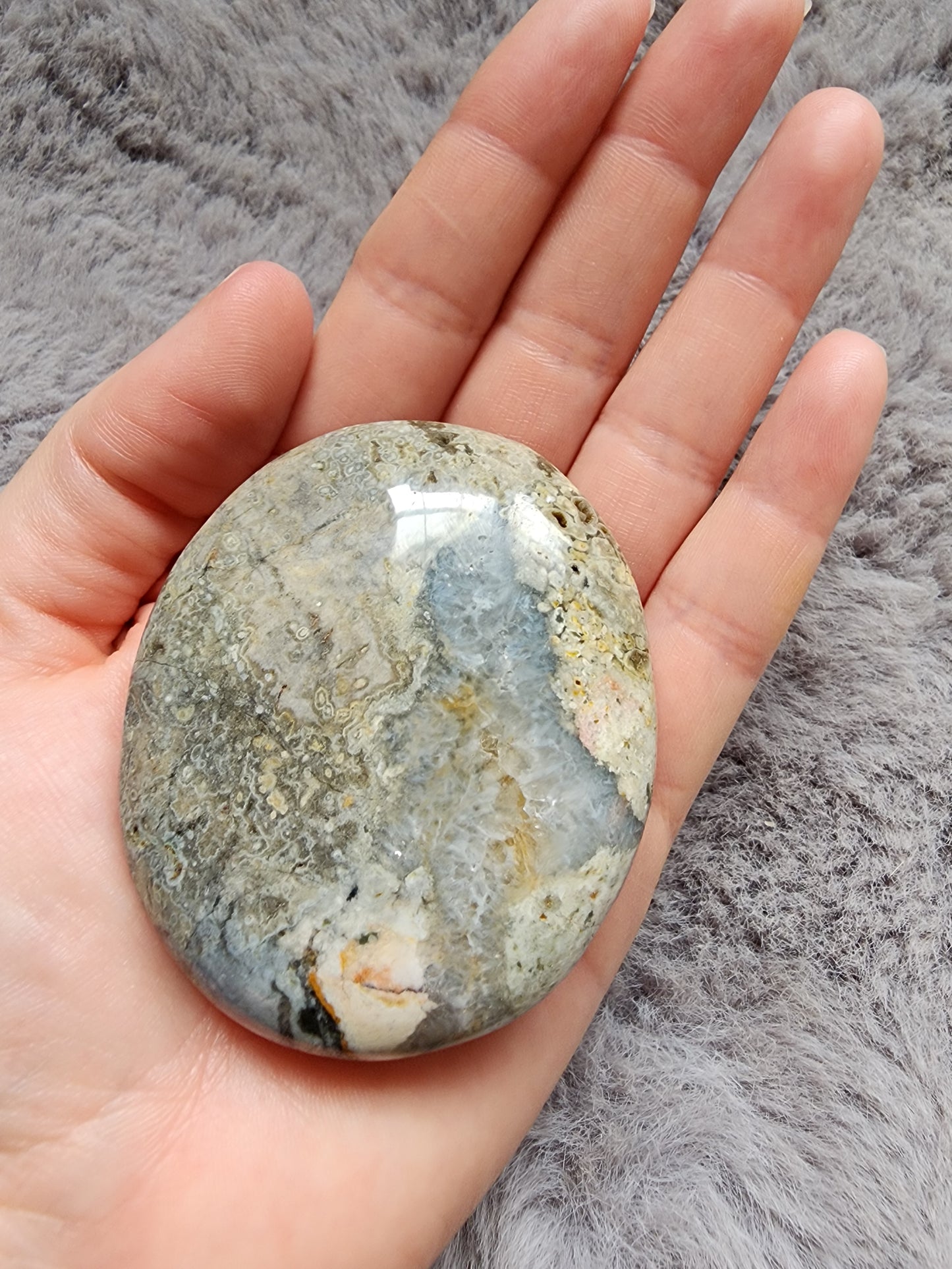 Orbicular Jasper Palmstone