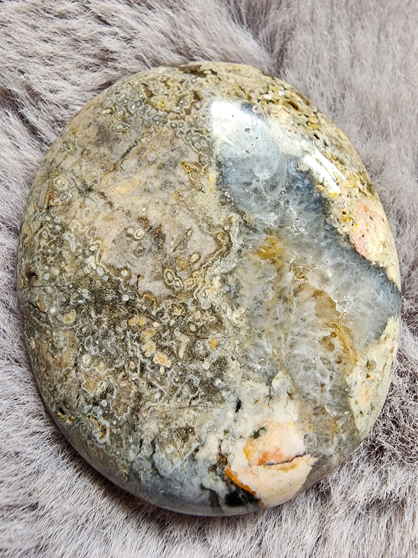 Orbicular Jasper Palmstone
