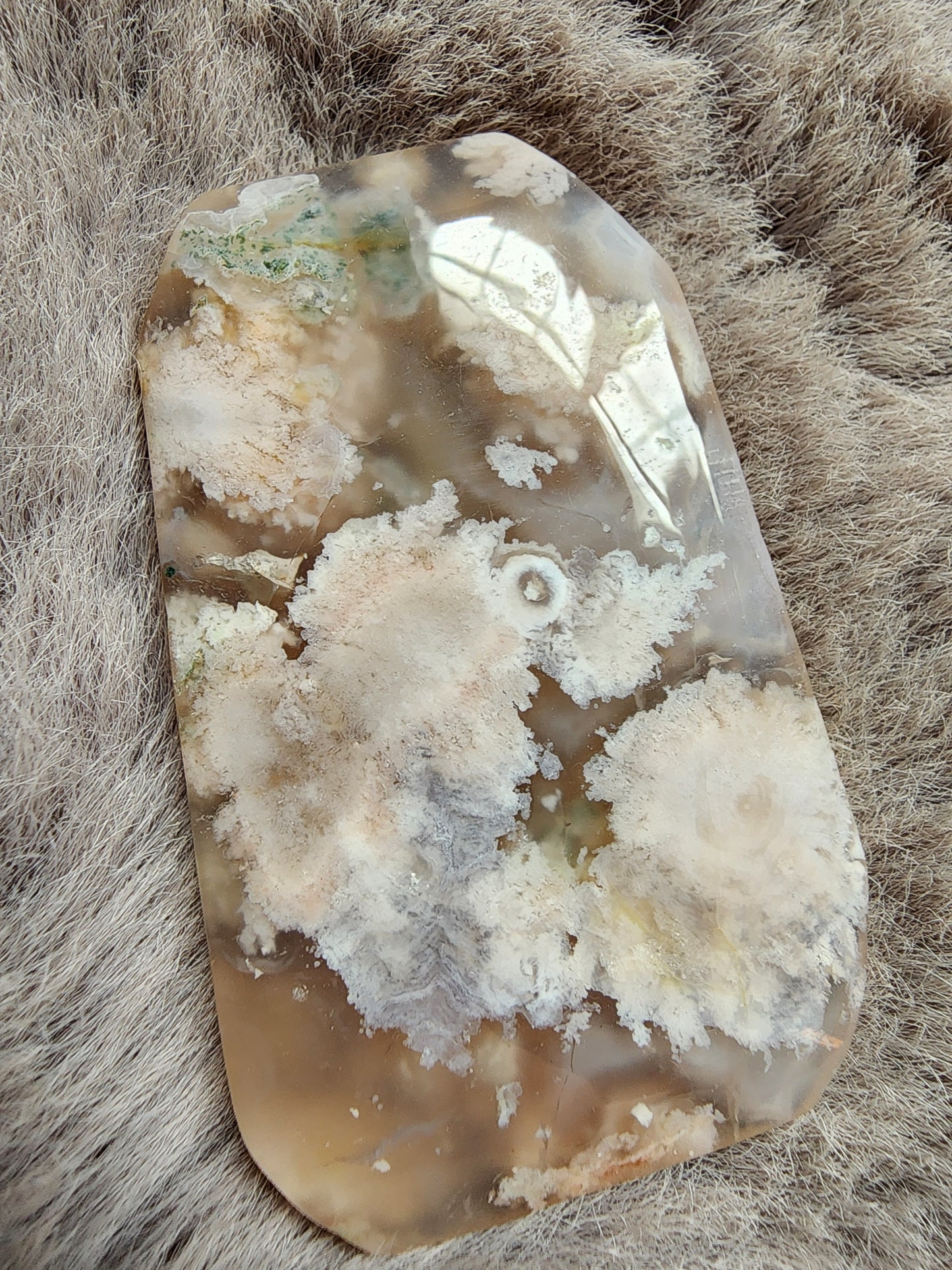 Flower Agate