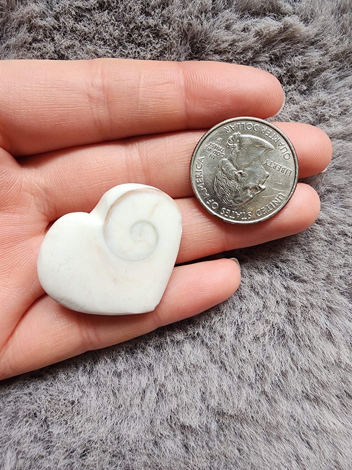 Shiva Shell Heart