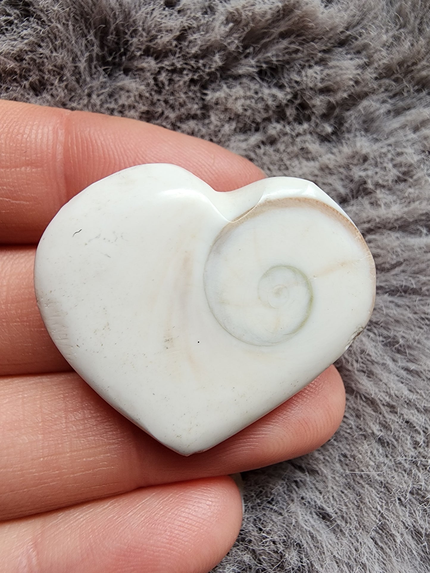 Shiva Shell Heart