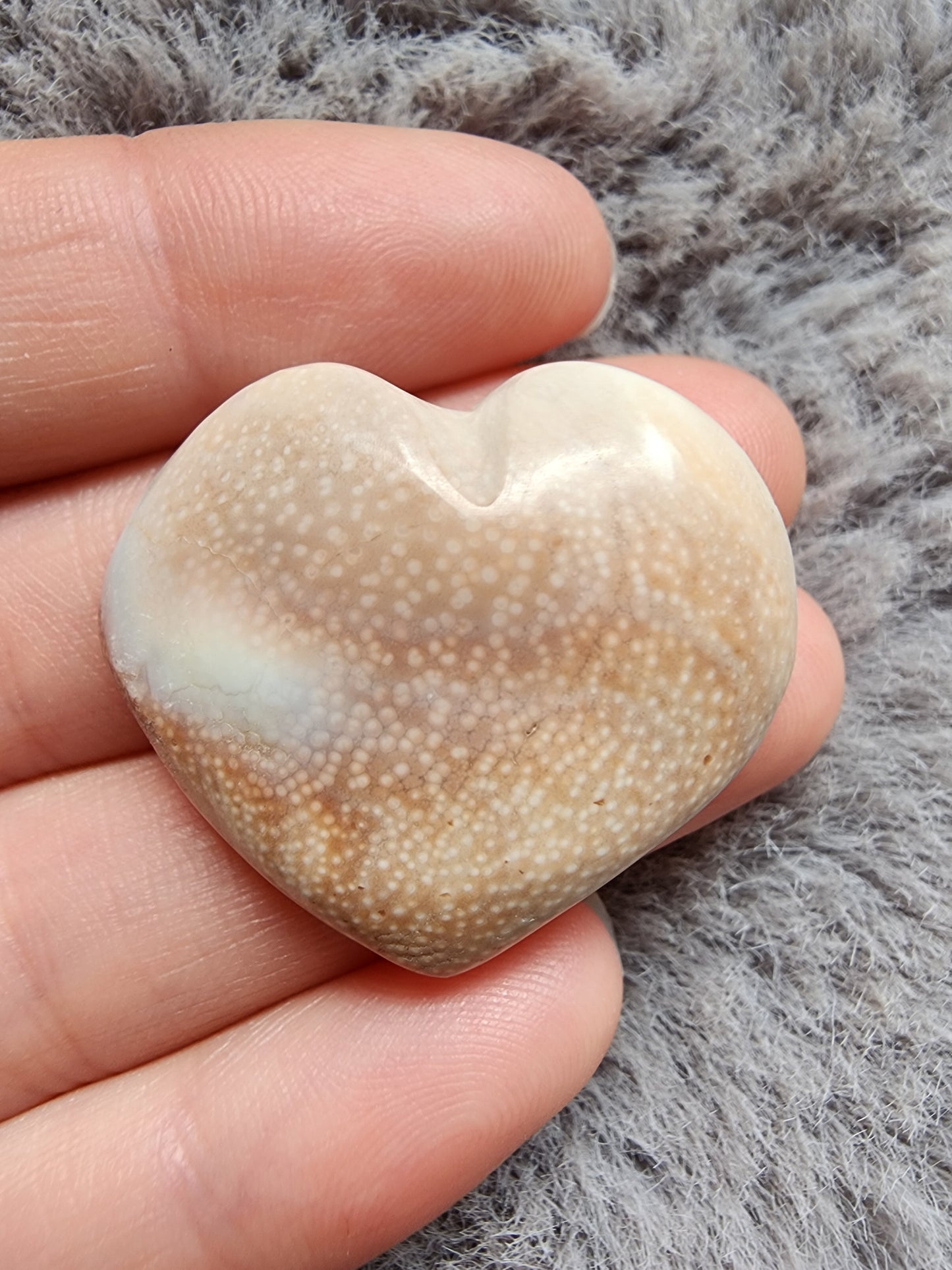 Shiva Shell Heart
