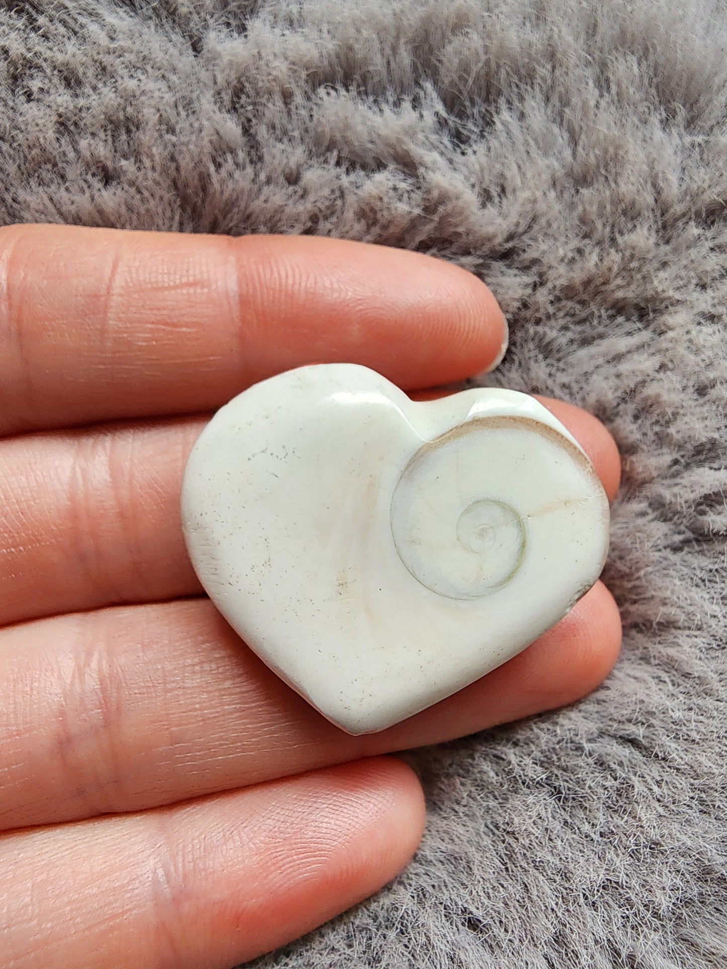 Shiva Shell Heart