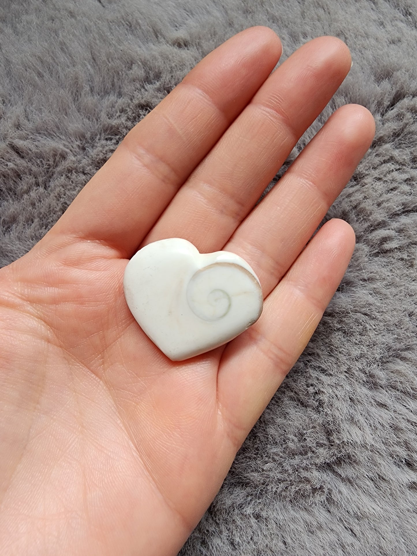 Shiva Shell Heart