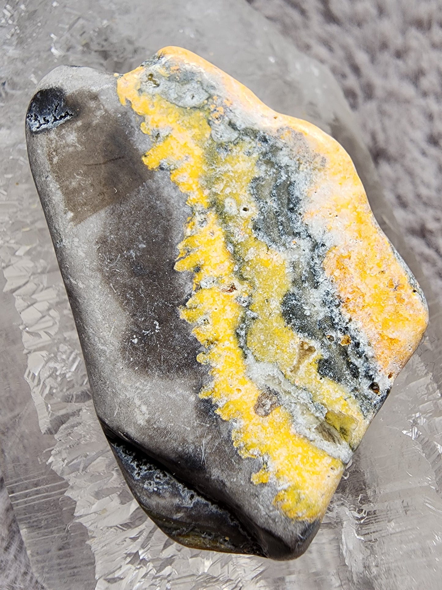 Bumblebee Jasper Slab
