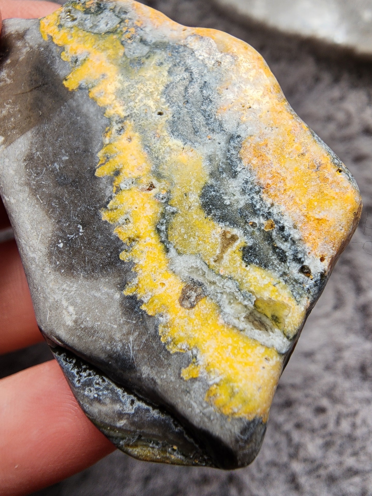 Bumblebee Jasper Slab