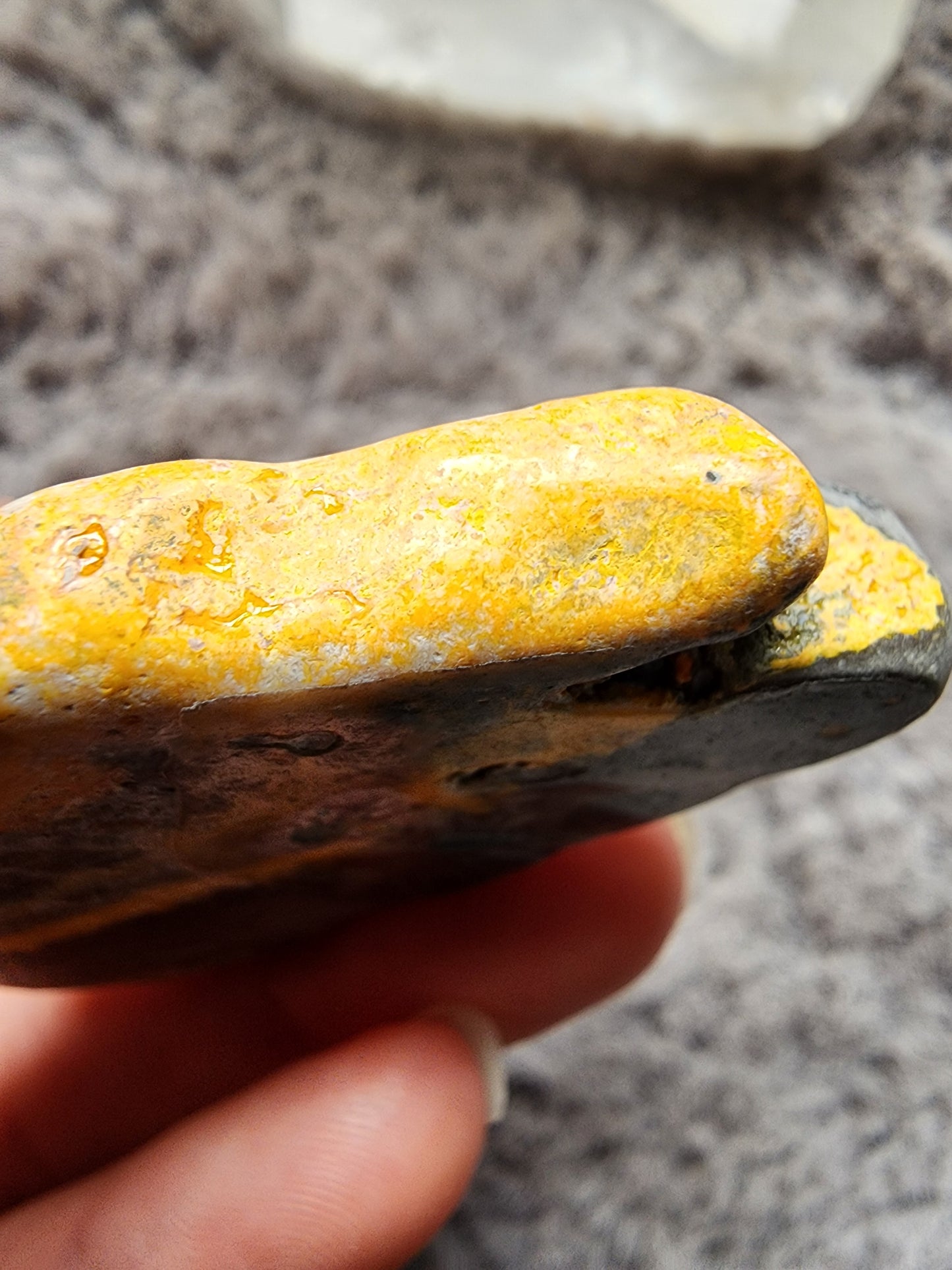 Bumblebee Jasper Slab