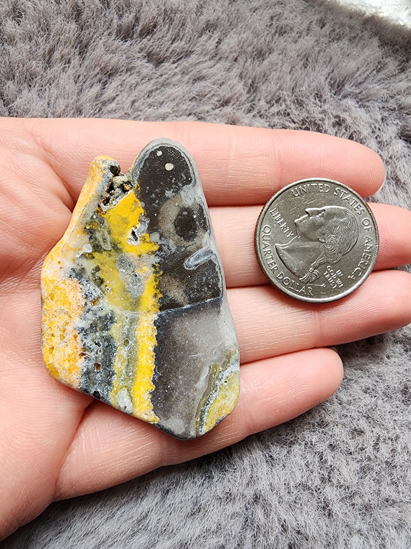 Bumblebee Jasper Slab