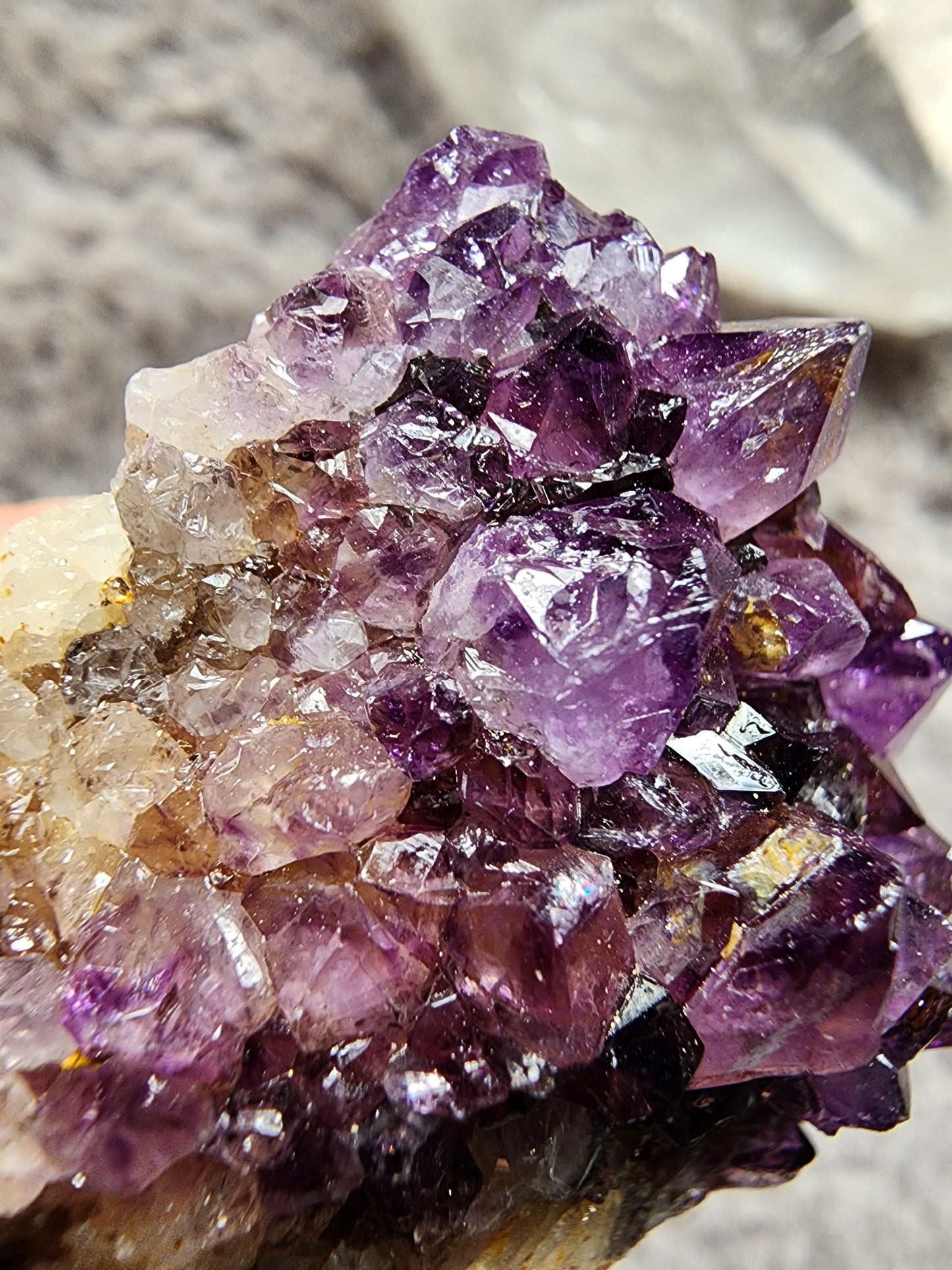 Amethyst Cluster