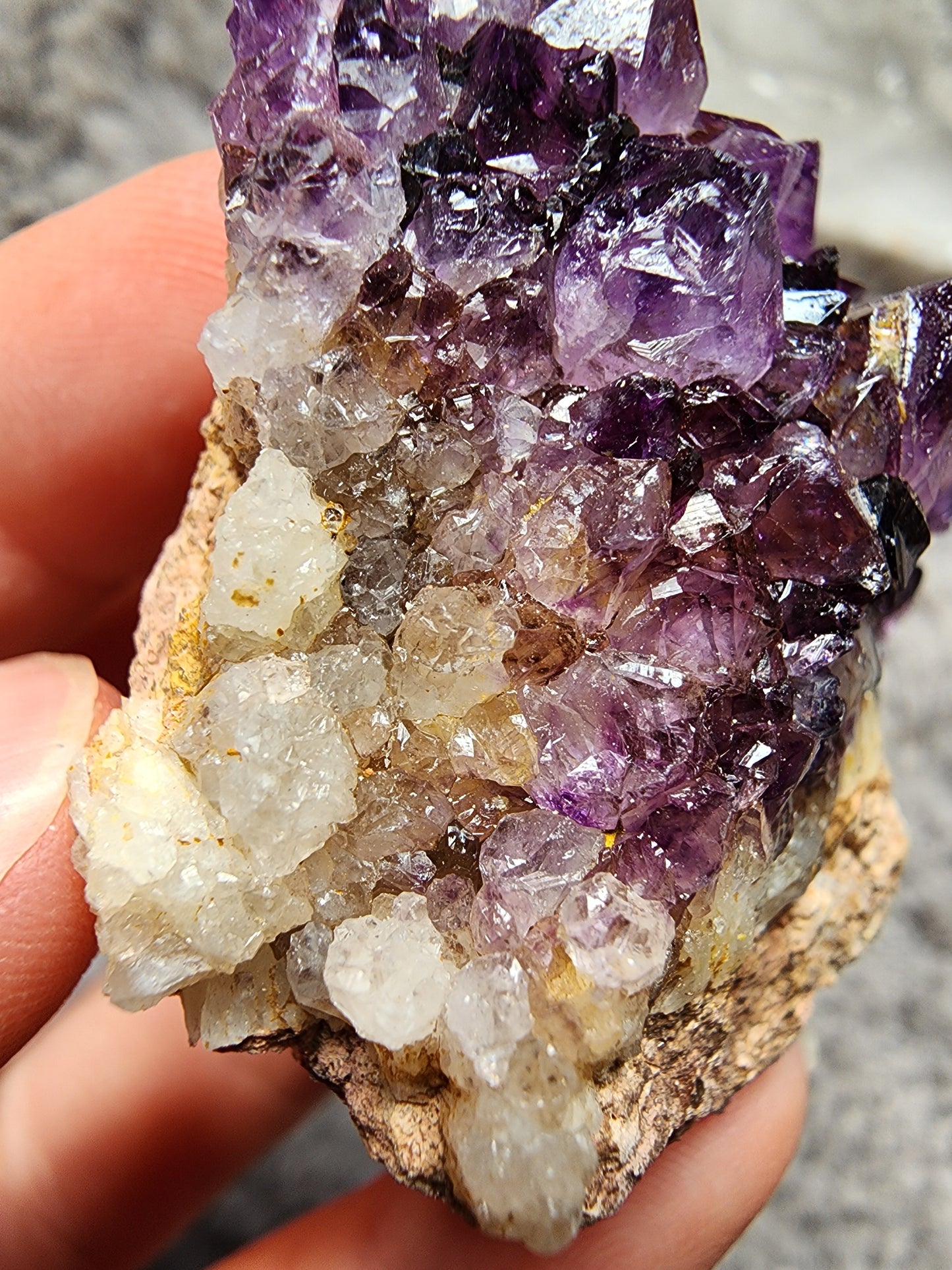 Amethyst Cluster