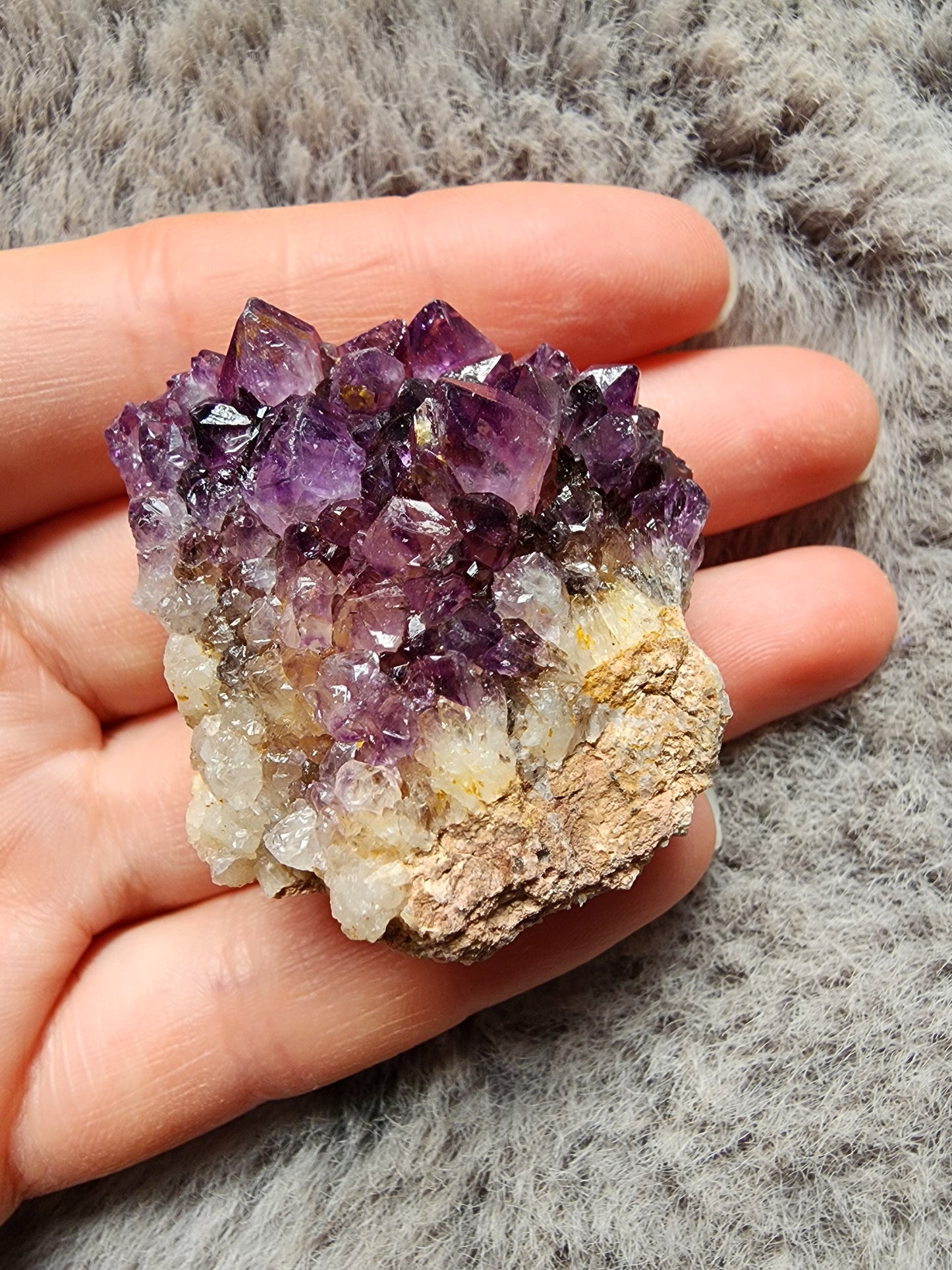Amethyst Cluster