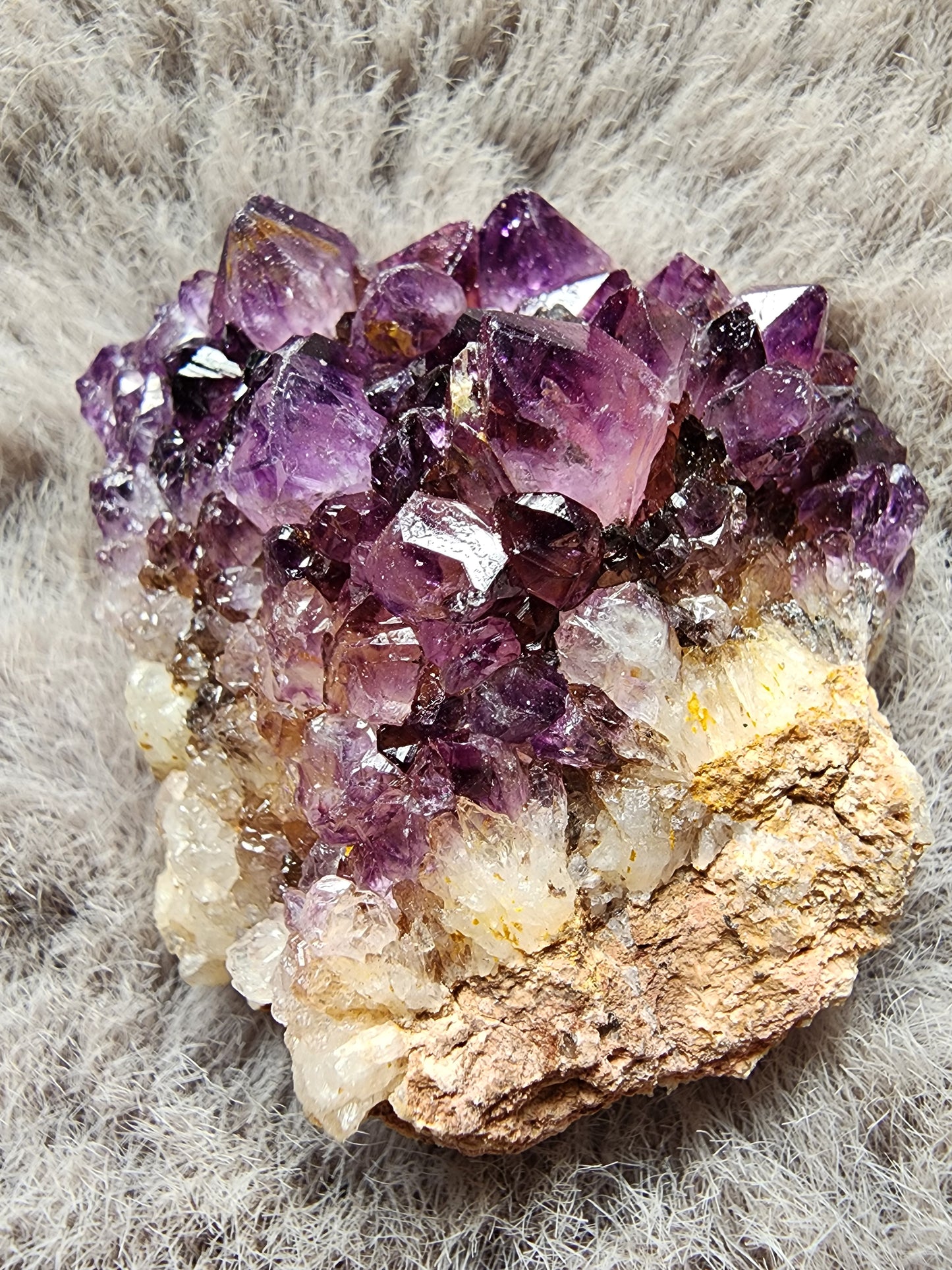Amethyst Cluster