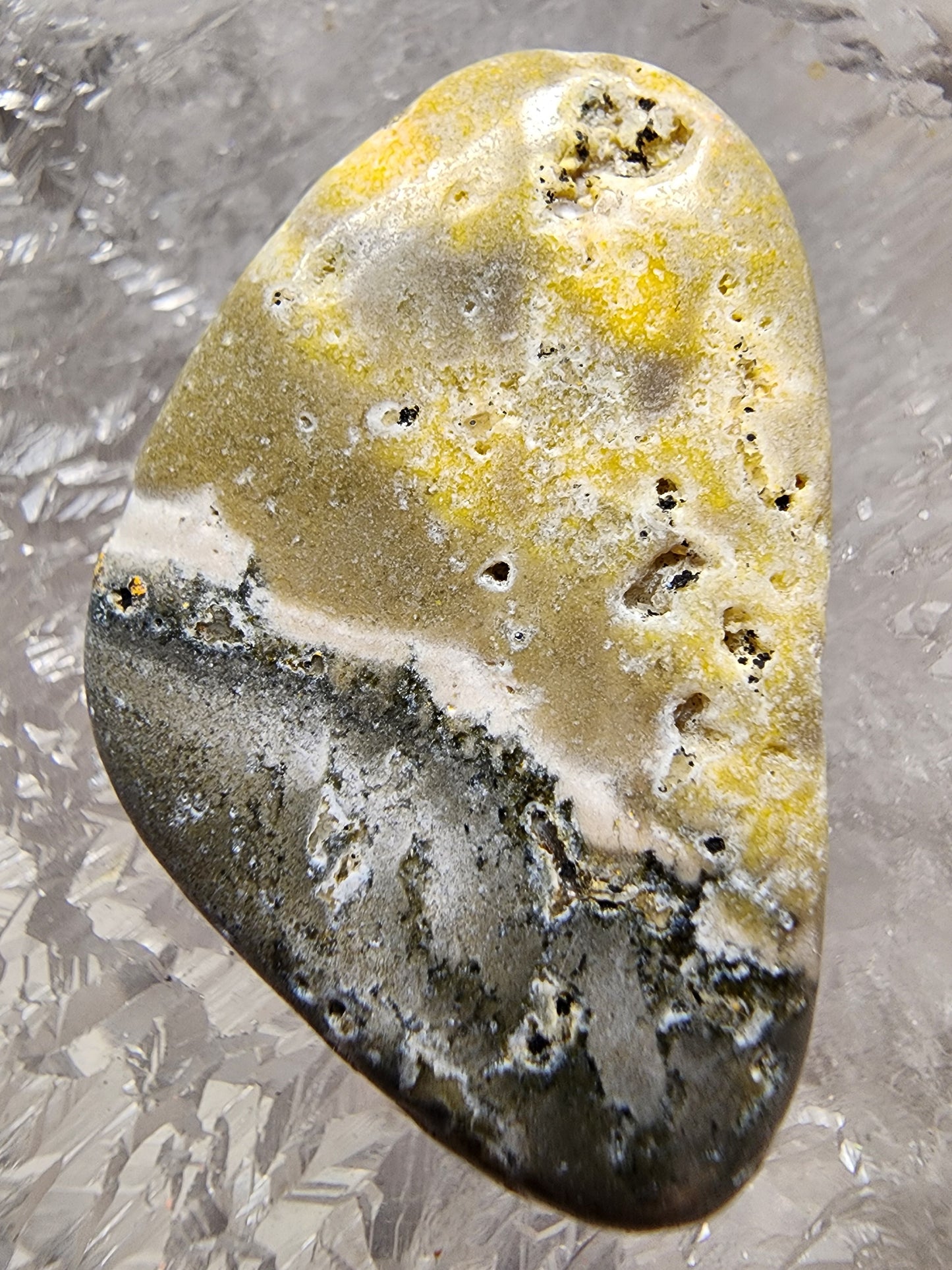 Bumblebee Jasper