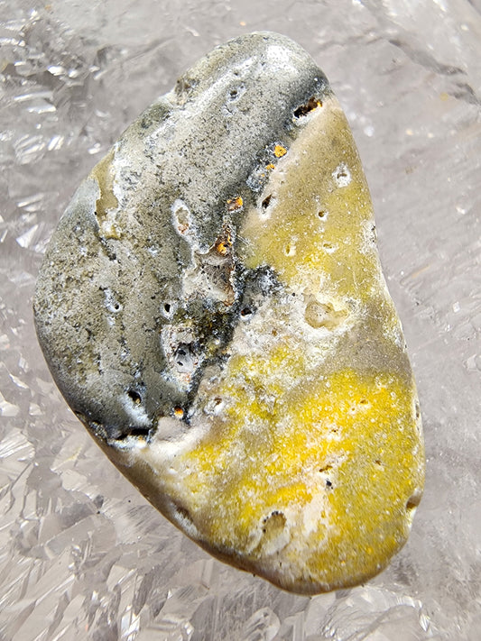 Bumblebee Jasper