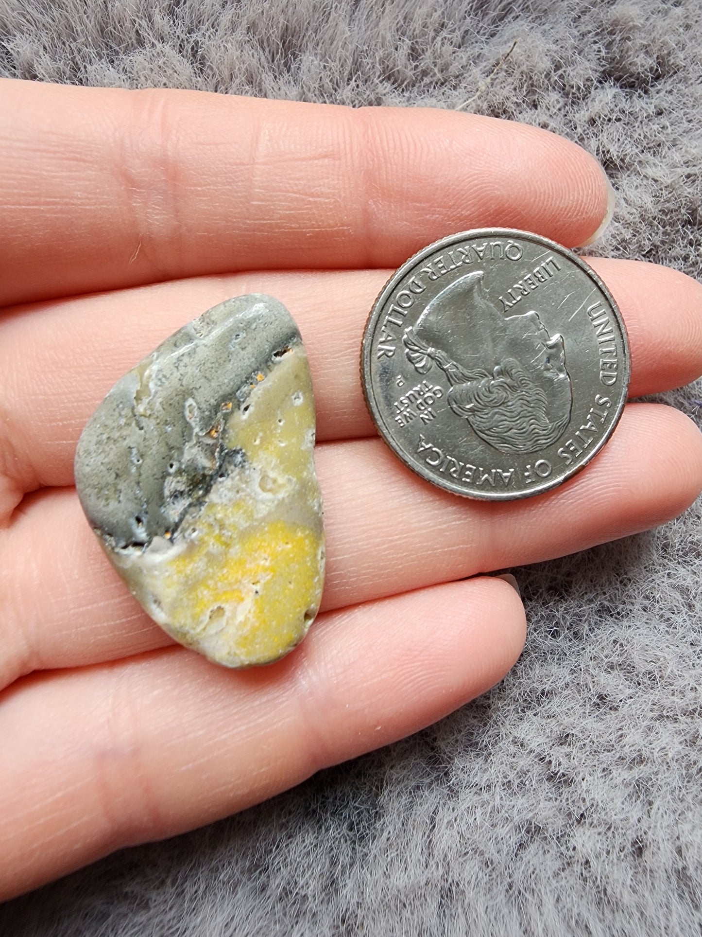 Bumblebee Jasper