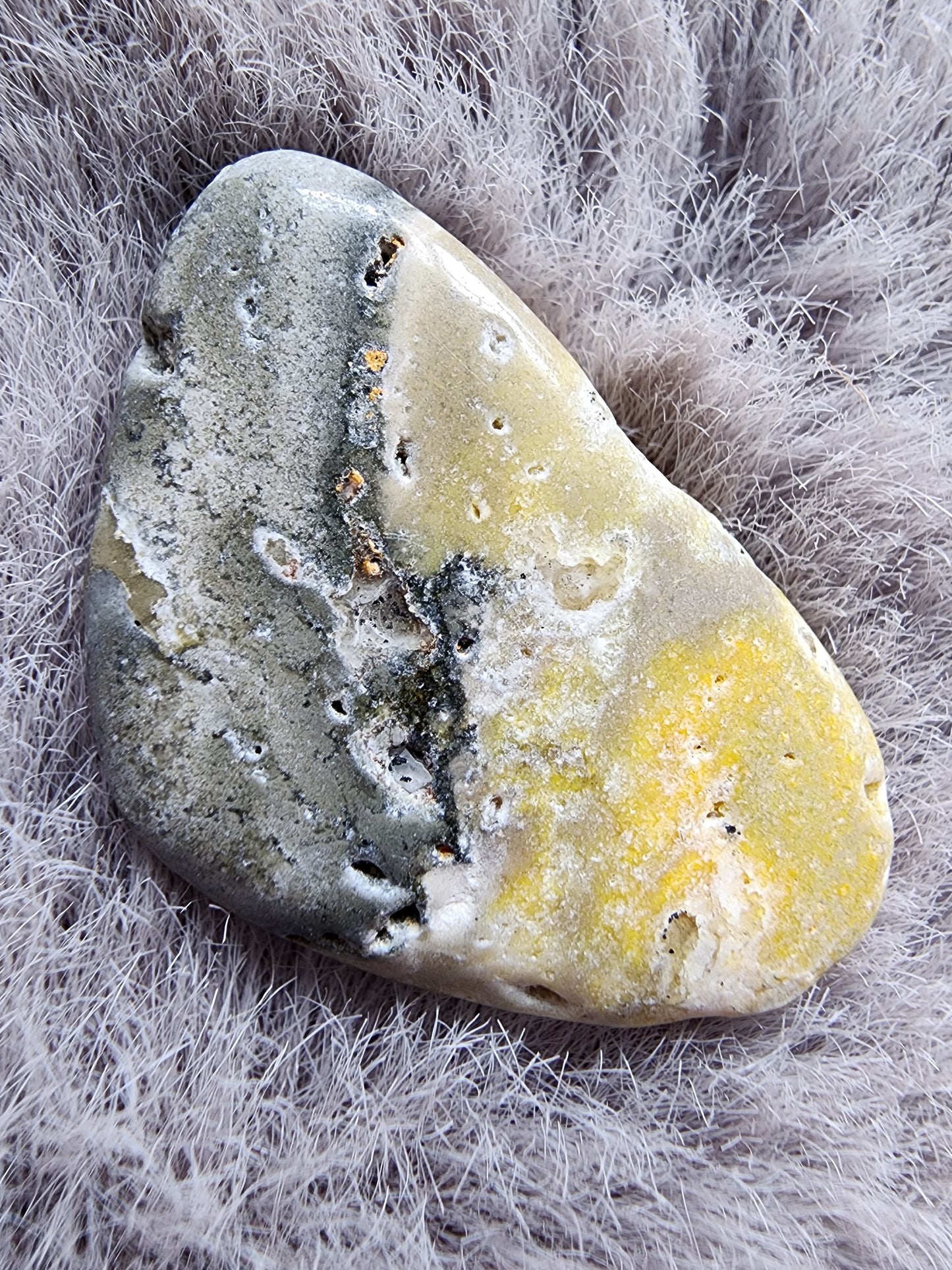 Bumblebee Jasper