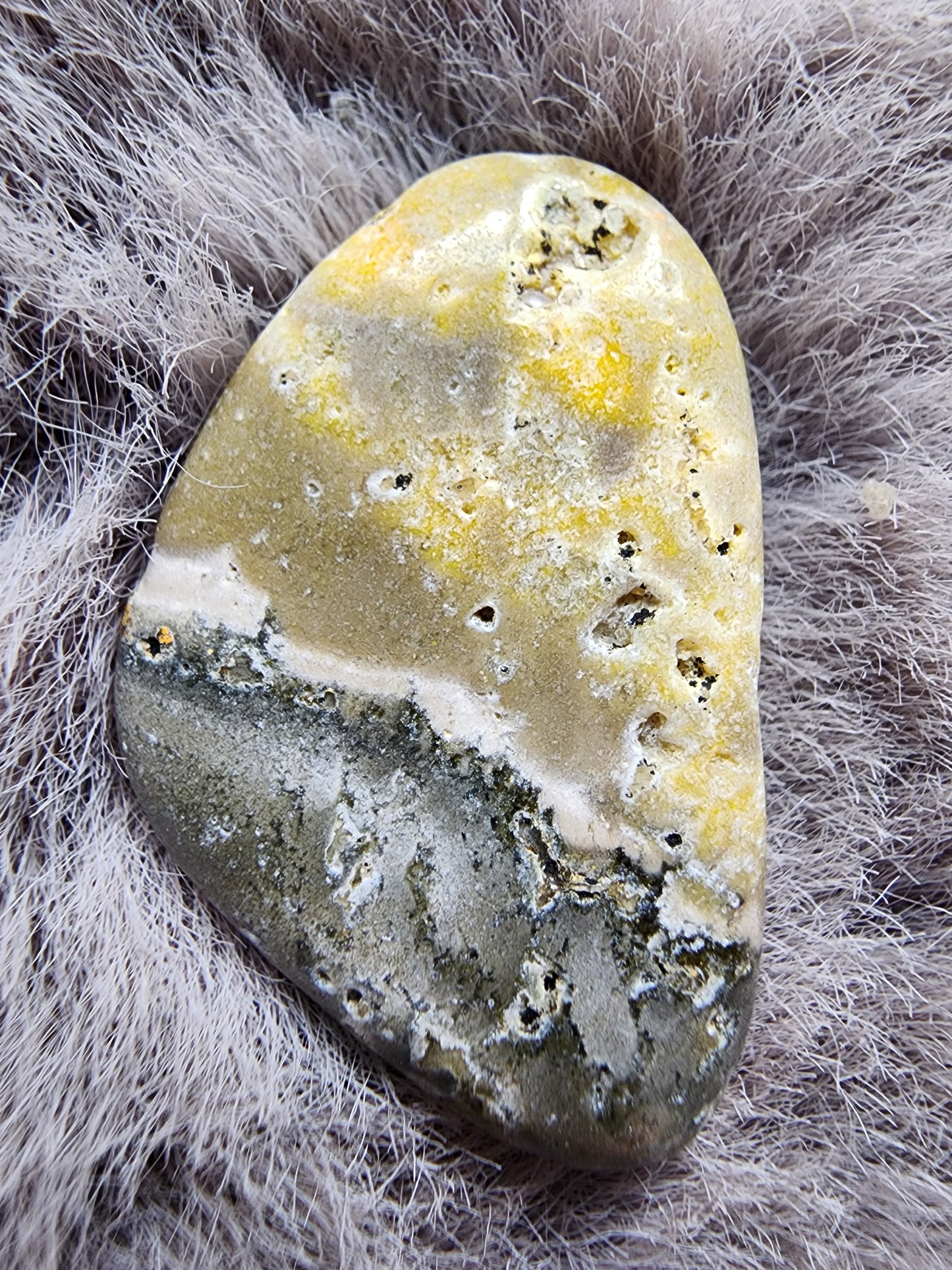 Bumblebee Jasper