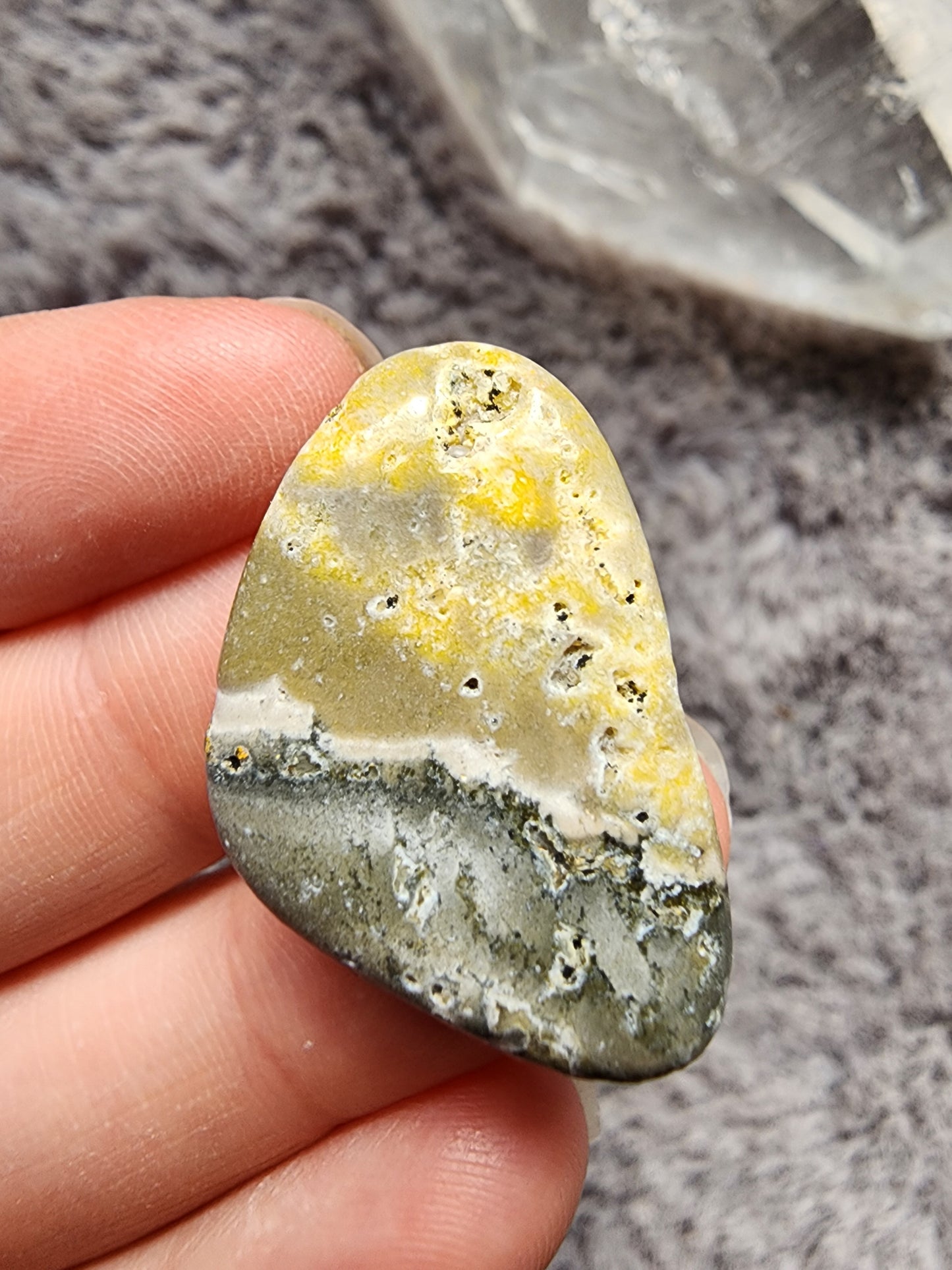 Bumblebee Jasper