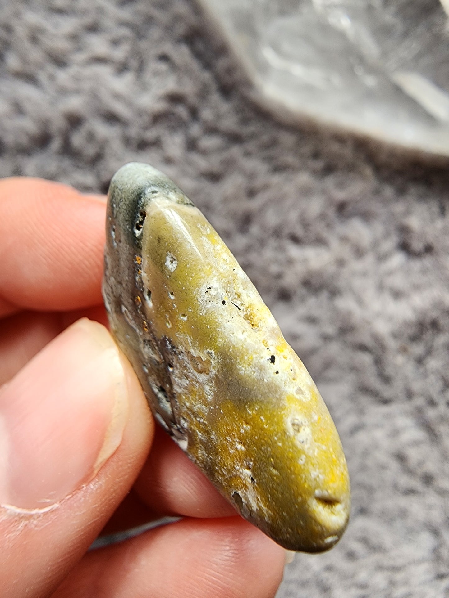 Bumblebee Jasper